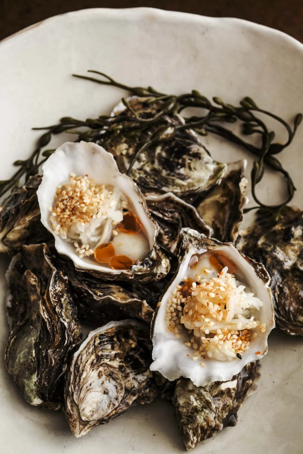 OysterKolrabiKraut.jpg