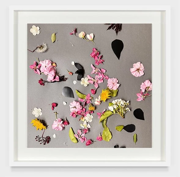 Still Life Framed.jpg