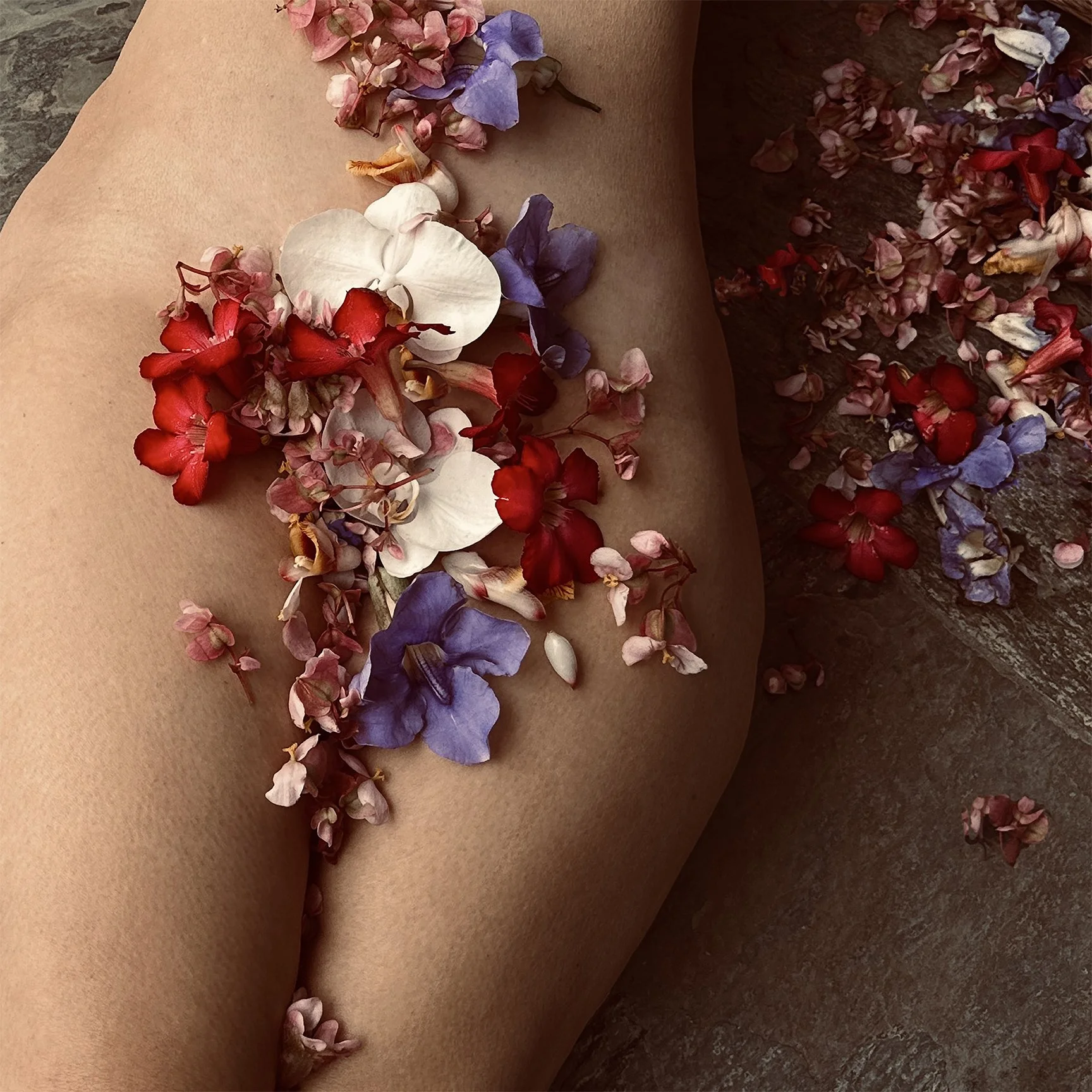  Becoming a Garden 1  (human nature) 