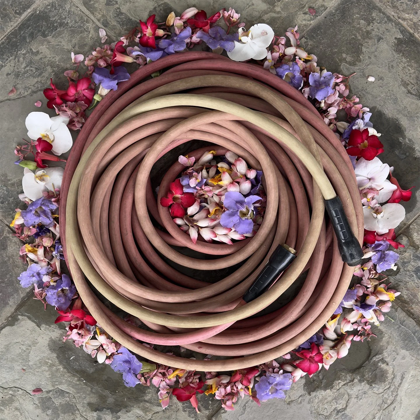  Garden Hose 