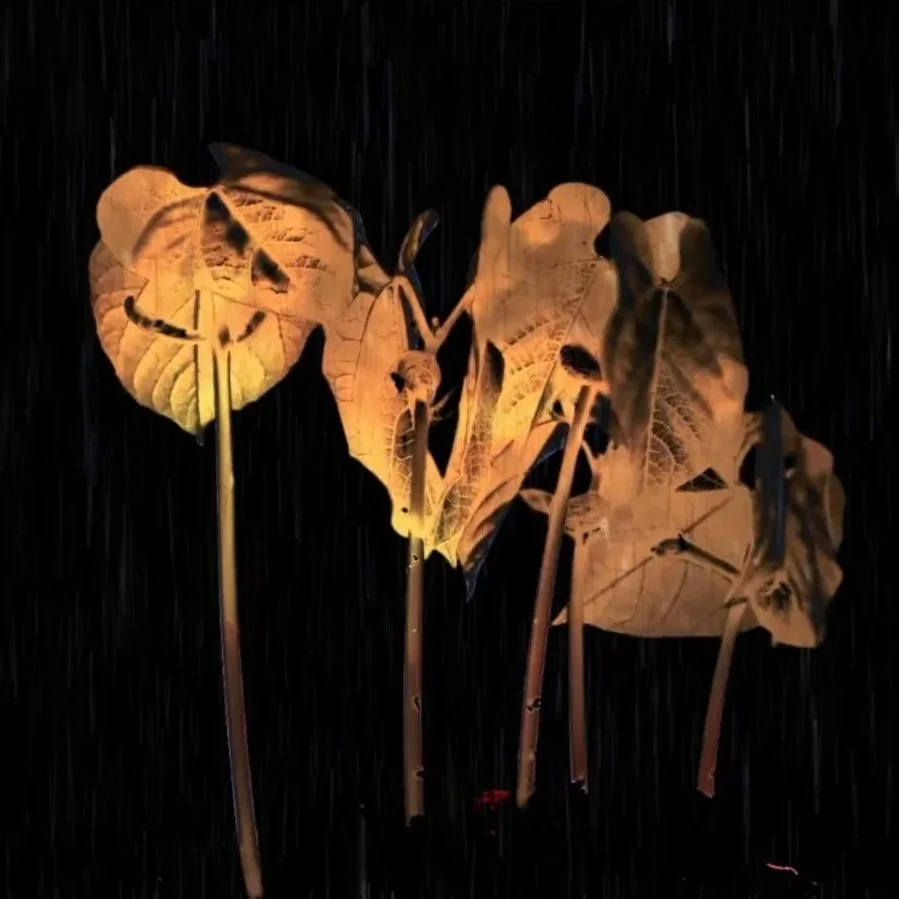 The Rains That Fall