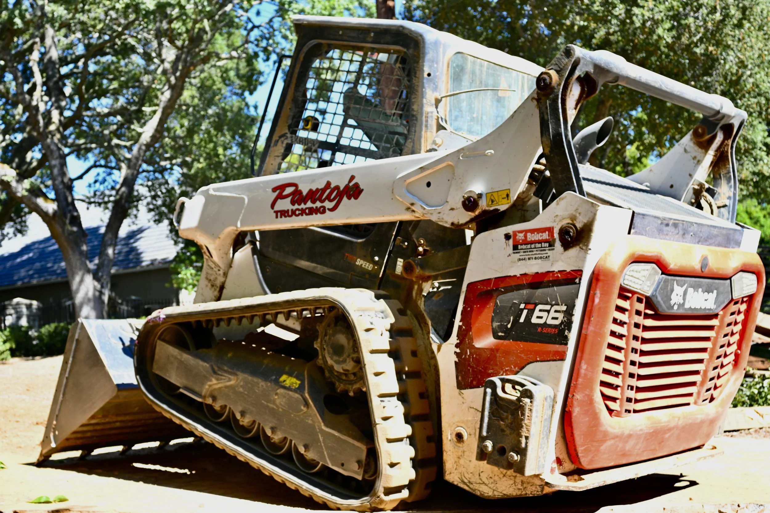 Compact Bobcat T66 skid-steer loader with a bucket attachment parked outdoors, with trees and a house in the background.