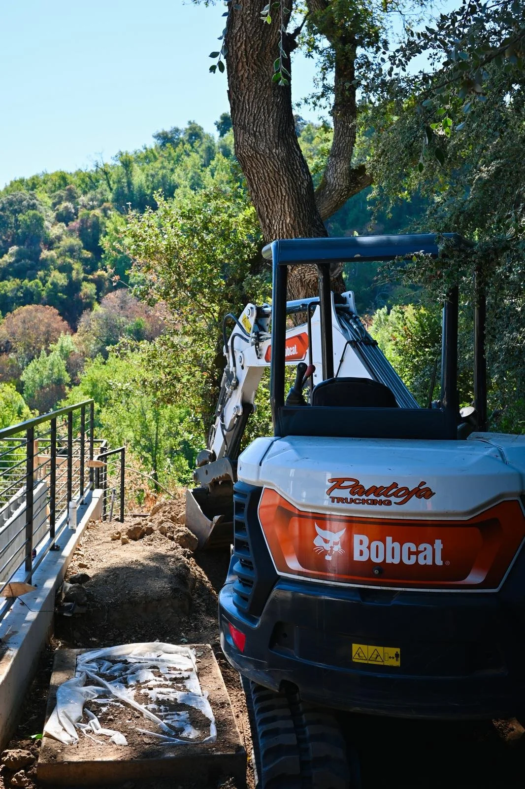 A bobcat mini excavator is operating on uneven dirt next to a metal railing and a large tree in a green, wooded area on a sunny day.