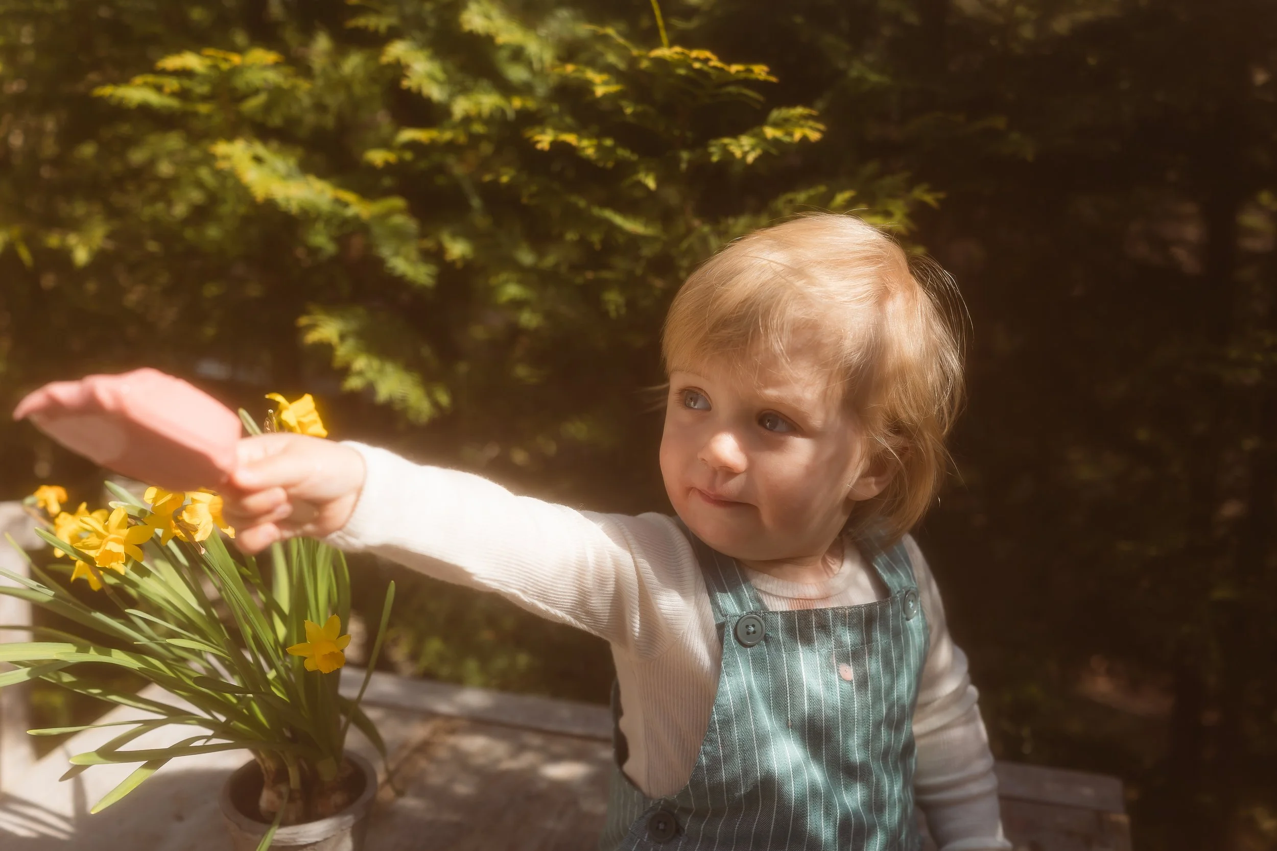 En liten gutt med blond hår, iført en grønn stripet lusekjole og hvit genser, peker mot noe utenfor bildet. Det står en potte med gule vårblomster på bordet foran ham, og det er grønne trær i bakgrunnen.