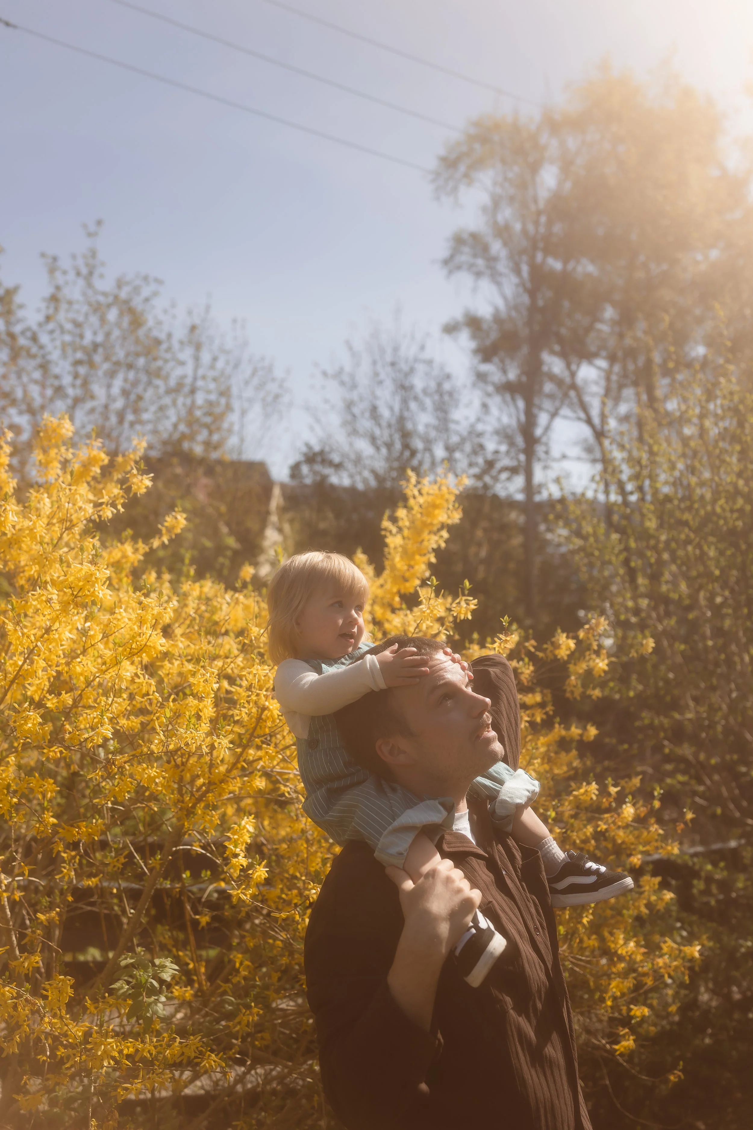 En mann bærer en liten jente på skuldrene mens de ser opp mot himmelen, omgitt av gule blomstrende busker og trær på en solrik dag.