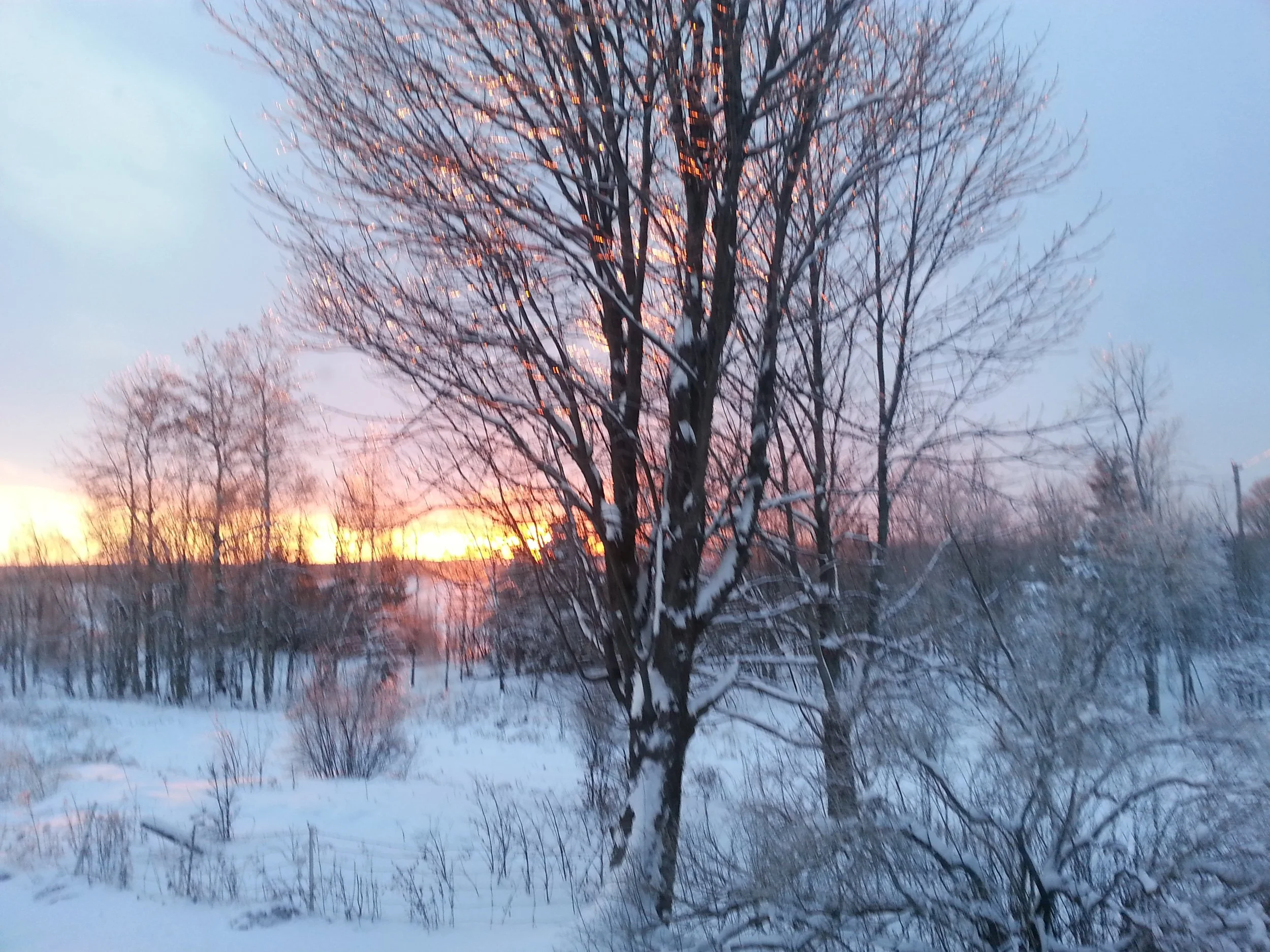 2015-01-10 16.29.16.jpg