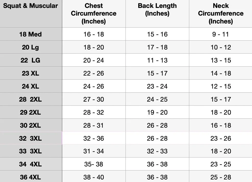 A size guide for men's clothing, showing measurements for squats and muscular build, chest circumference, back length, and neck circumference across various sizes from medium to 4XL.