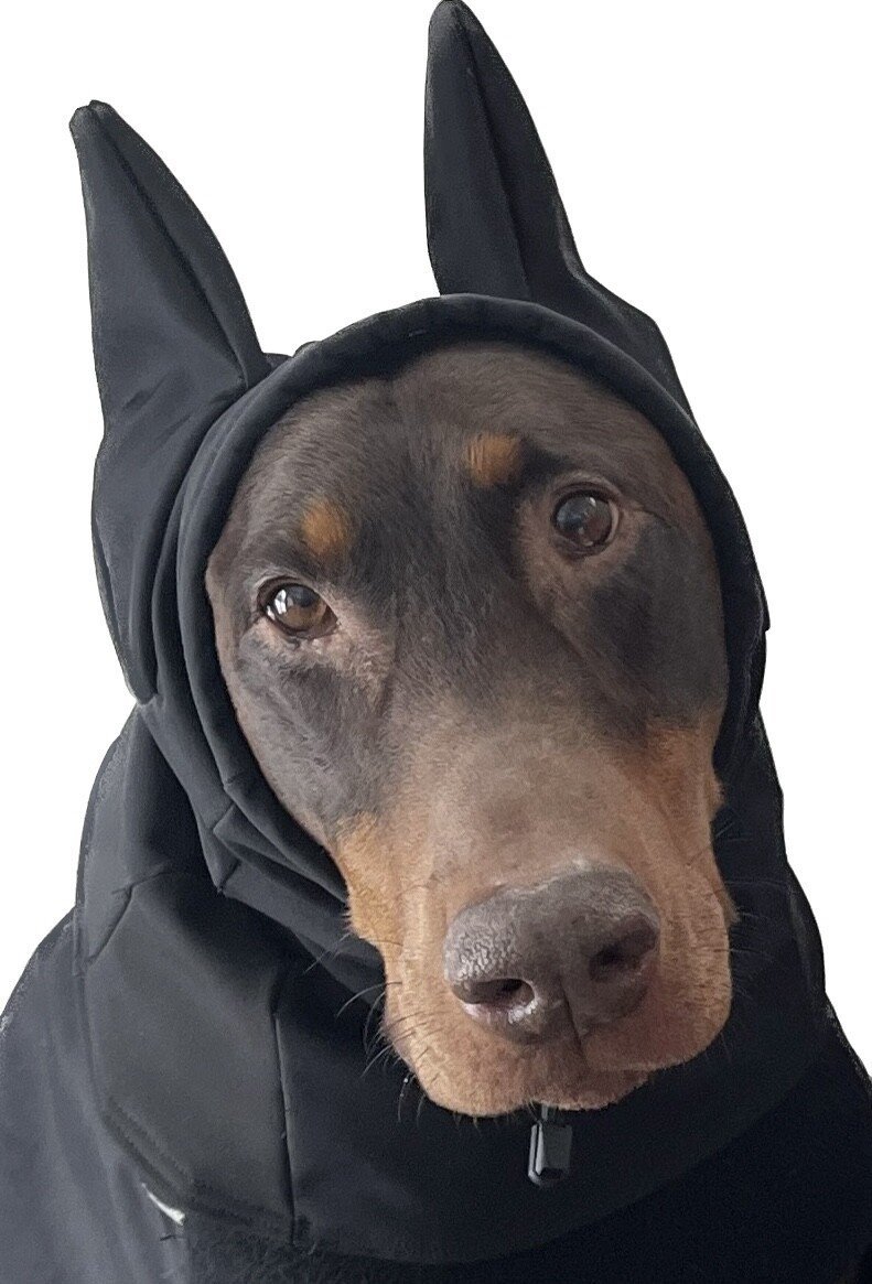 Dog hat, Dog Snood, Dog Toque, Winter, Winter Hat, Cropped Ear, Batman Dog Hat