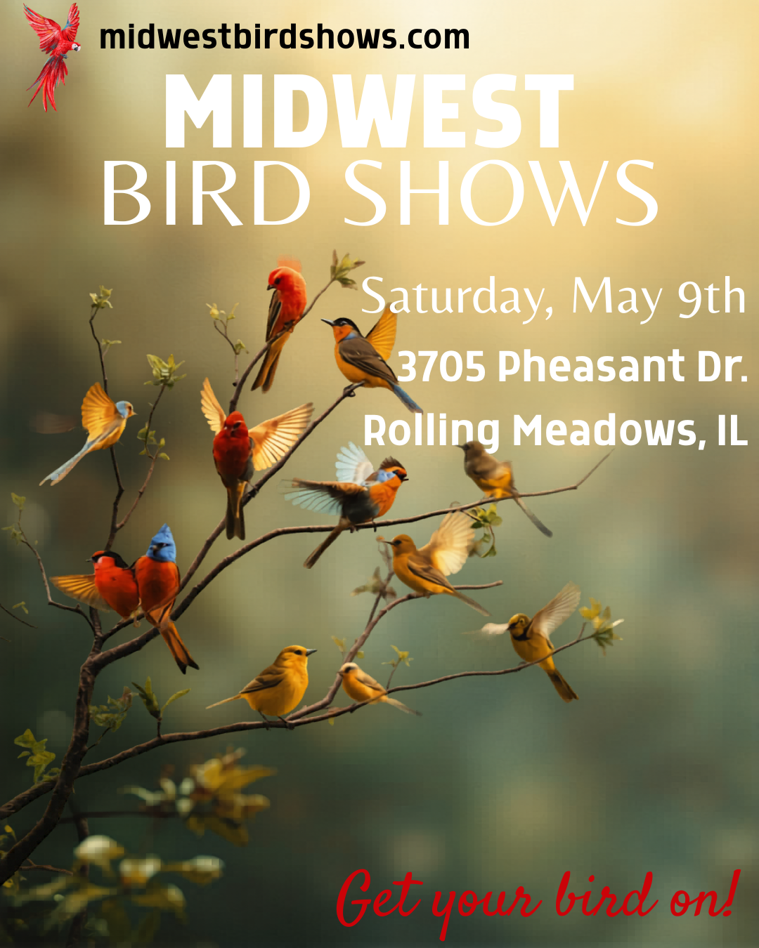 Rolling Meadows Bird Show