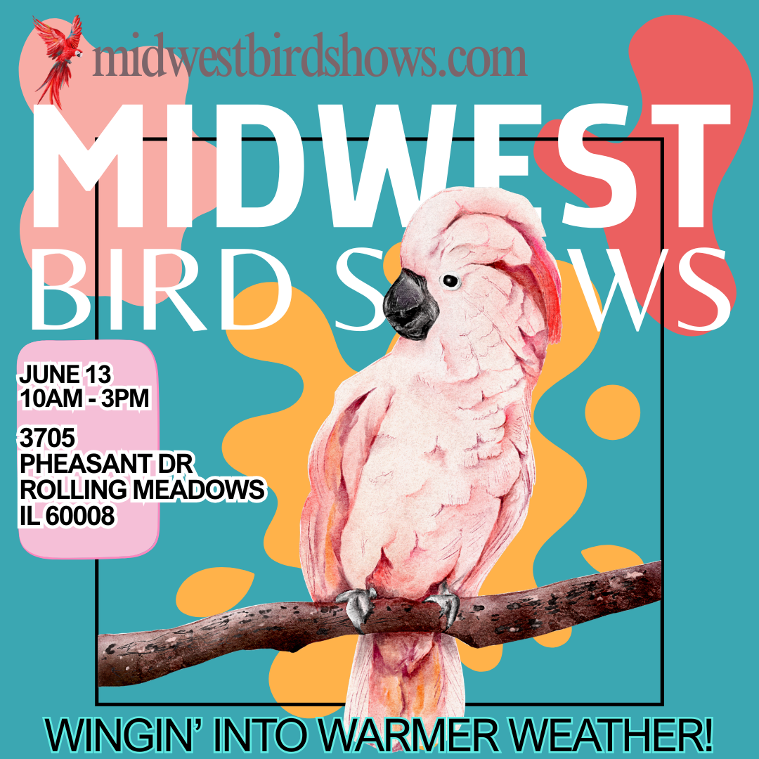 Rolling Meadows Bird Show