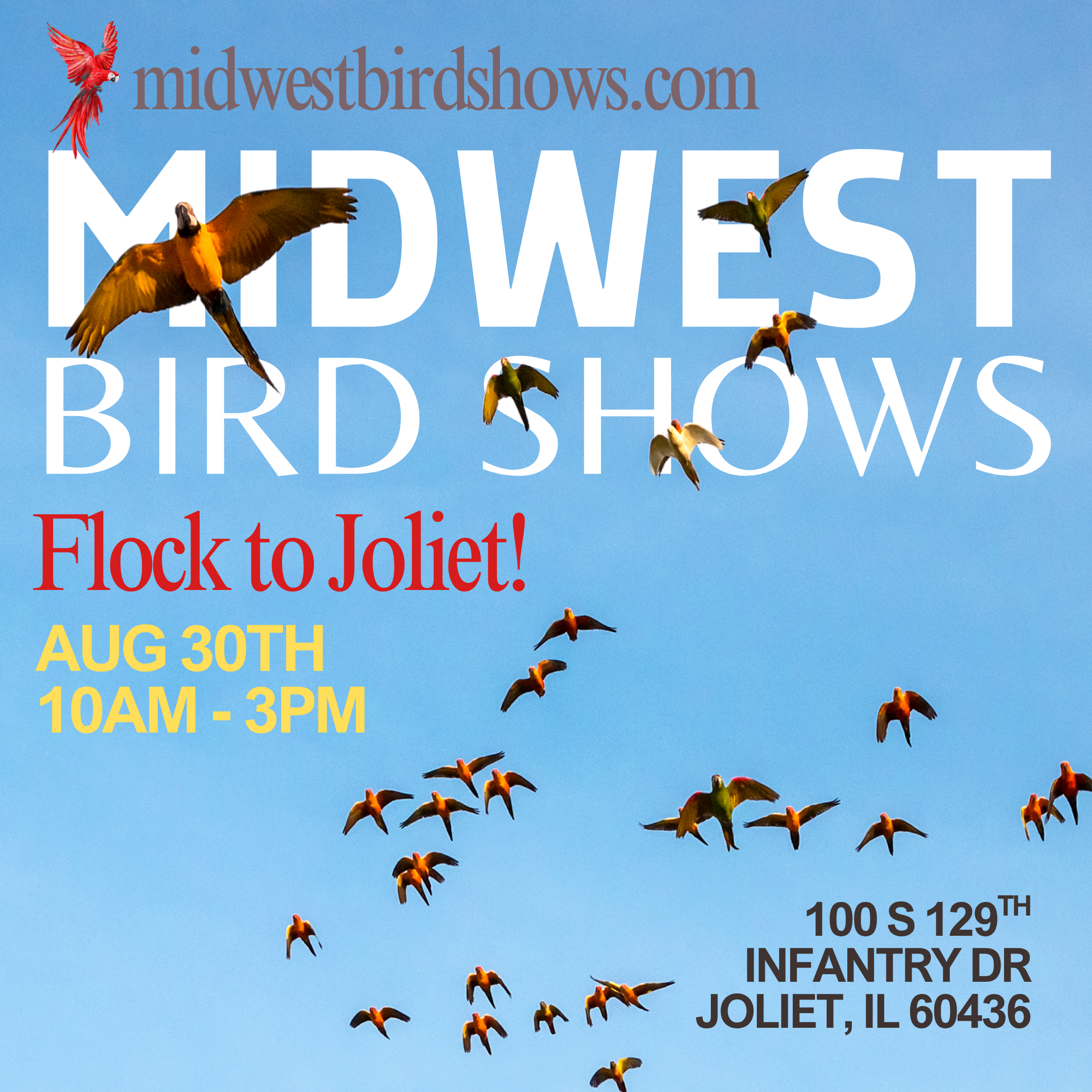 Joliet Bird Show