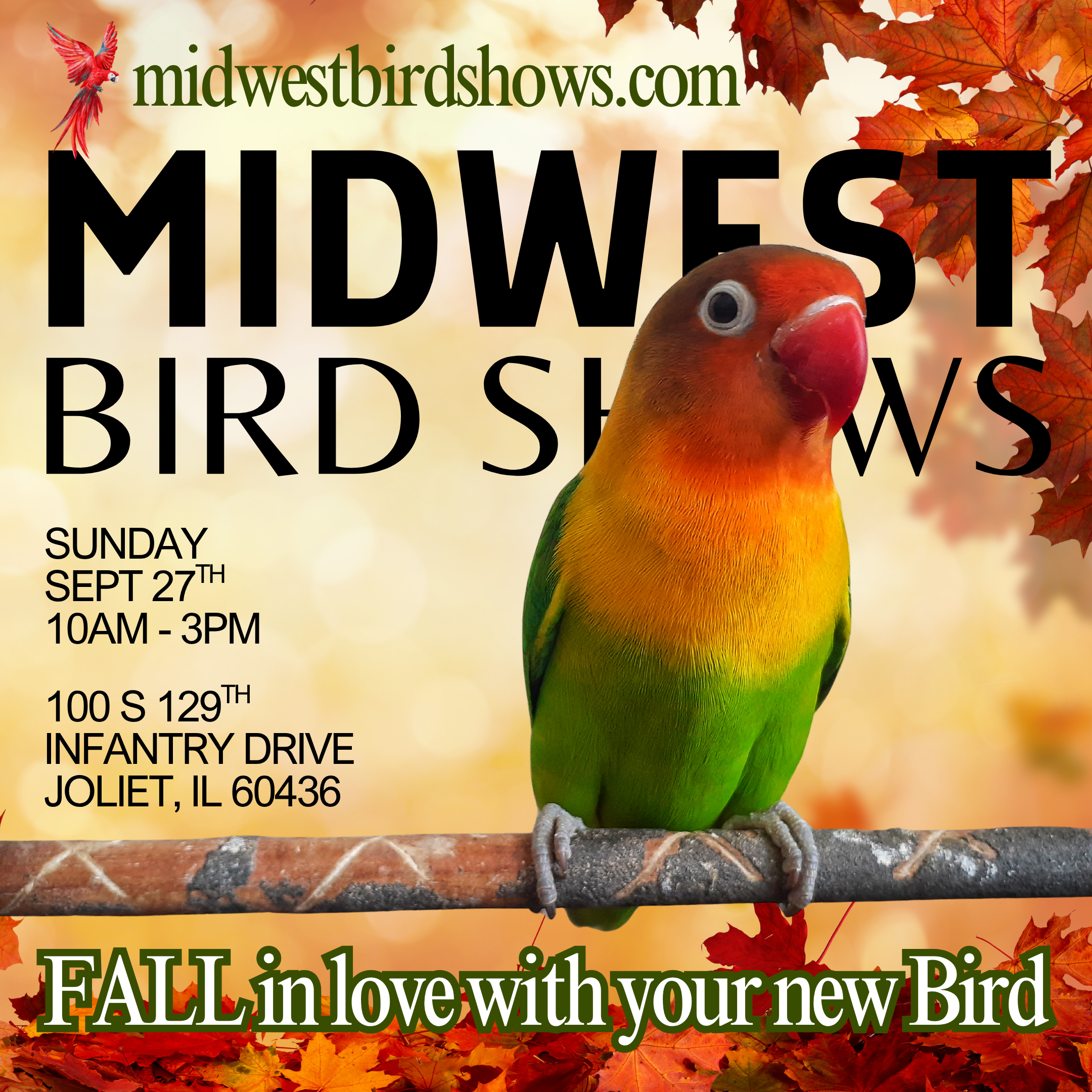 Joliet Bird Show