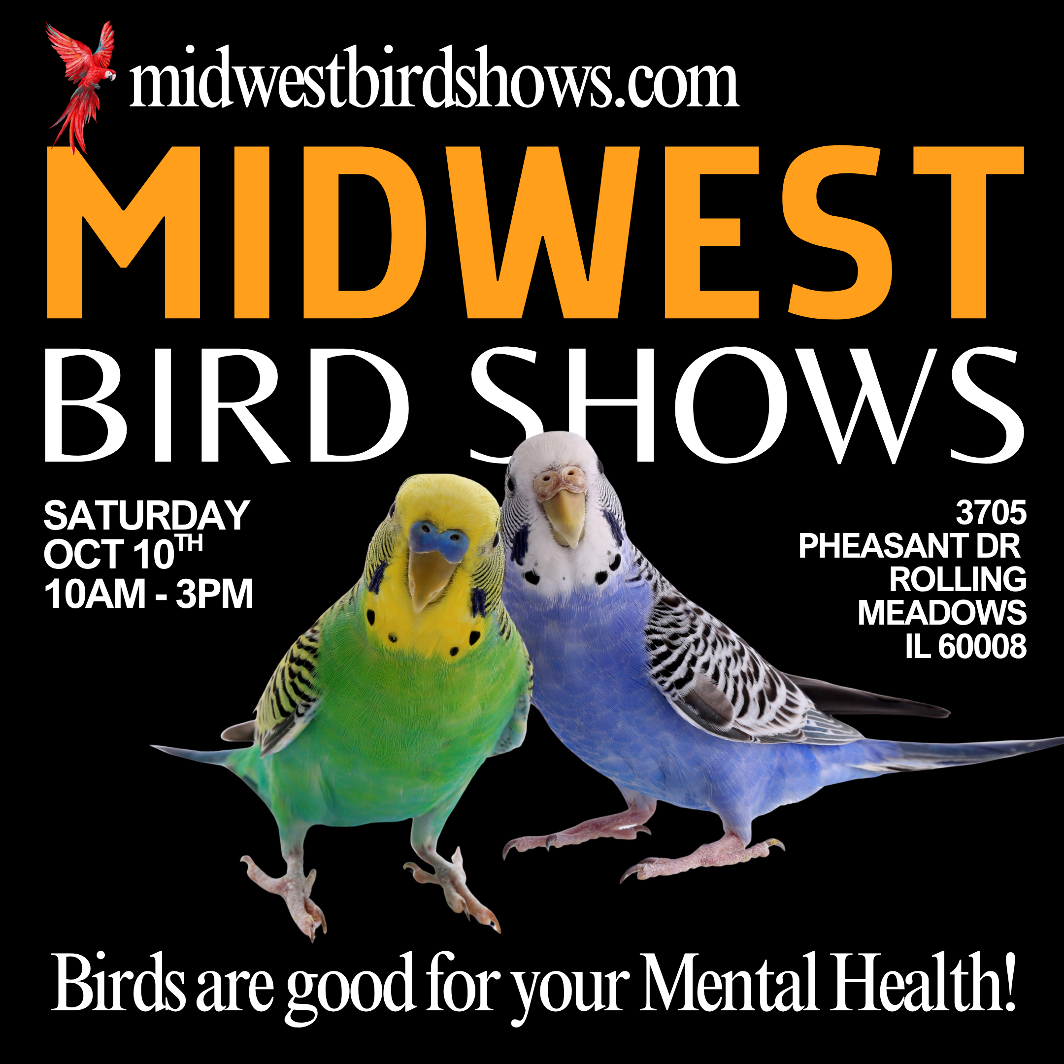 Rolling Meadows Bird Show