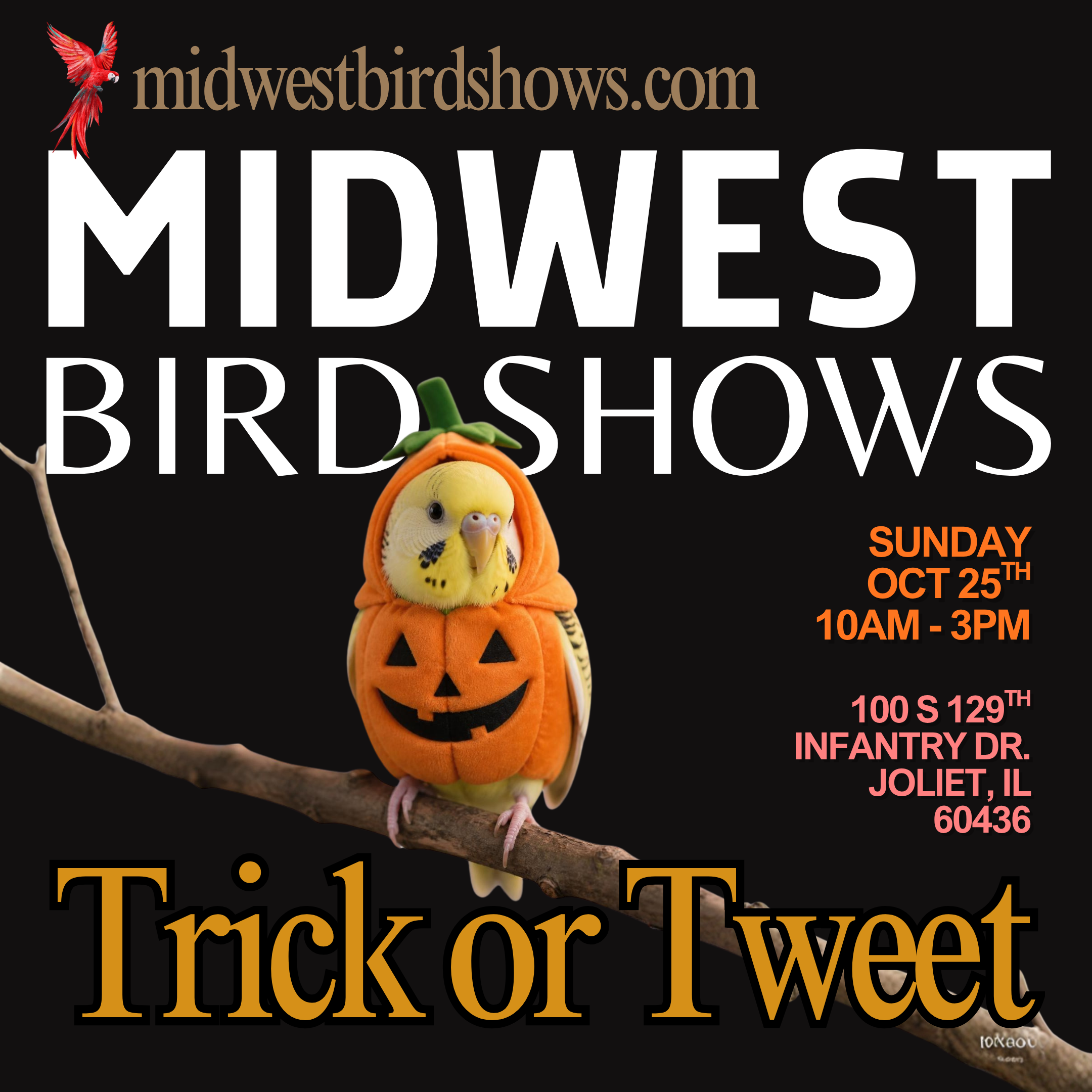 Joliet Bird Show
