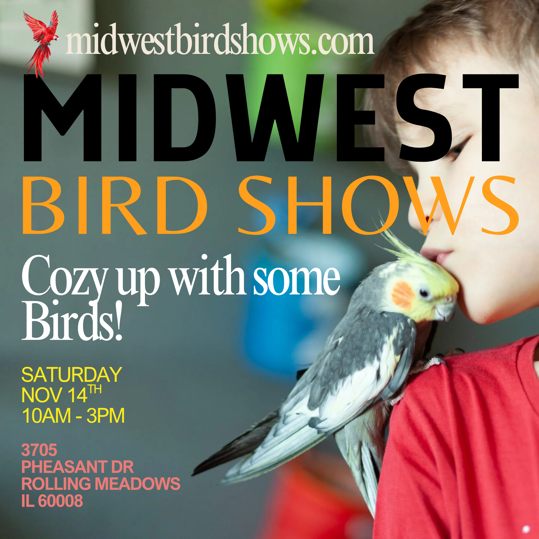 Rolling Meadows Bird Show