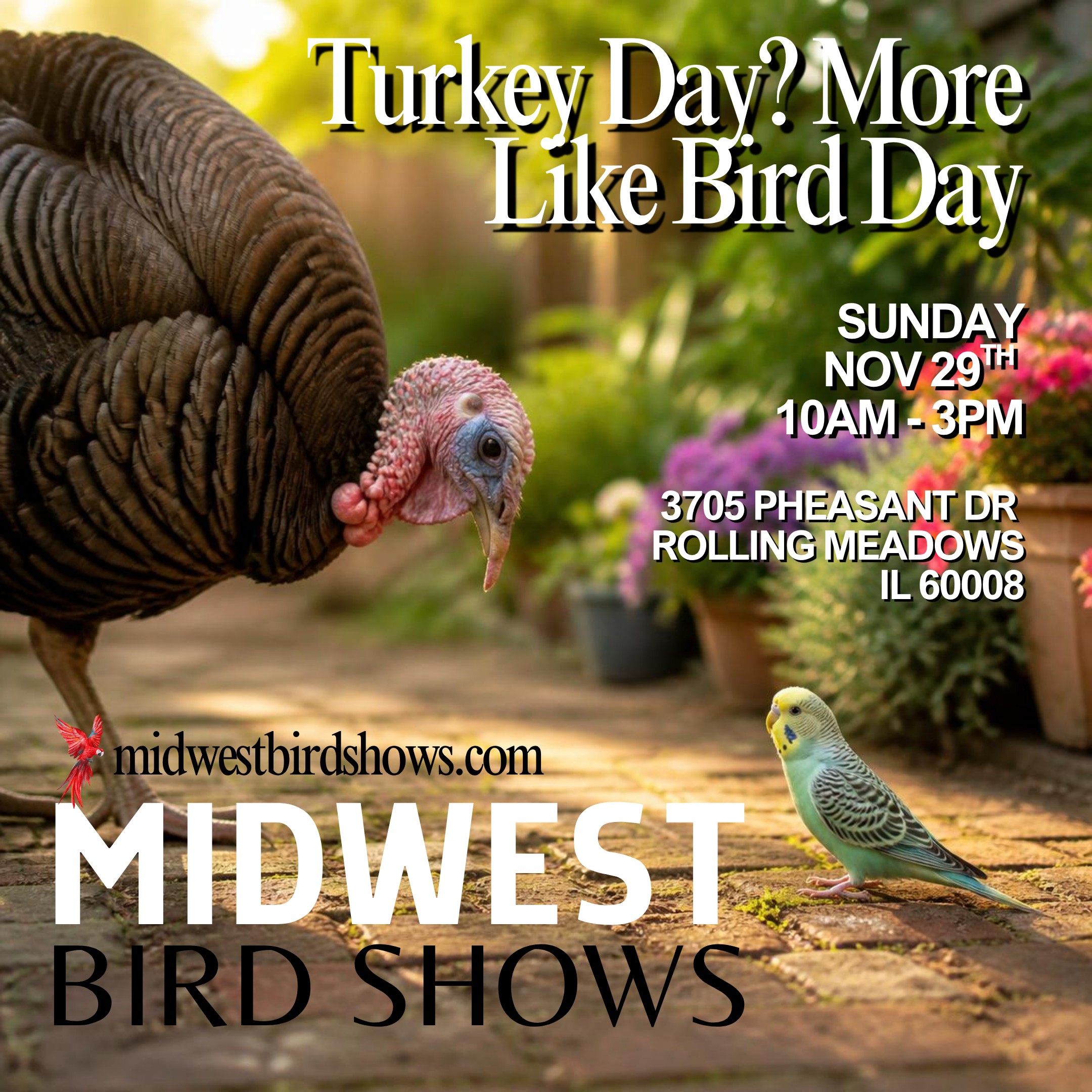 Joliet Bird Show