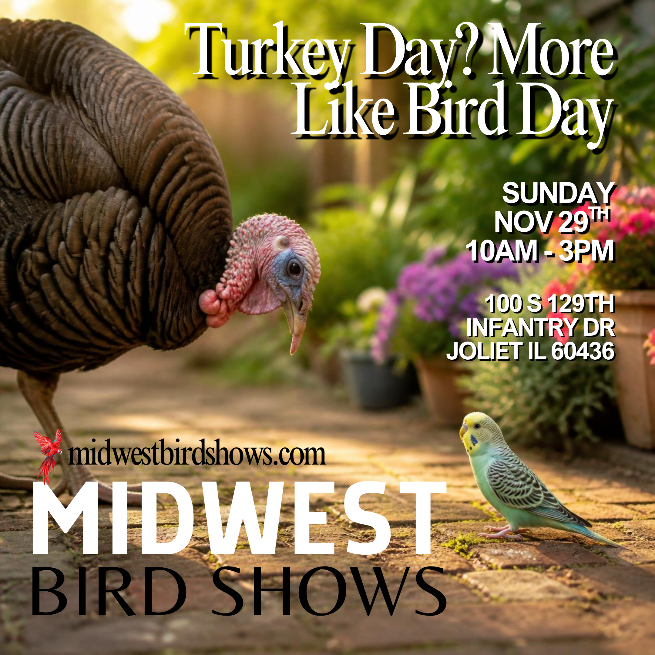 Joliet Bird Show