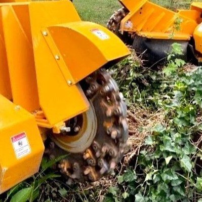 Spring is here… but is your yard ready? 🌳
You’d be surprised what’s hiding behind overgrown limbs, brush, and stumps — not to mention the hazards they can pose during spring storms. Whether you’re dreaming of more sun