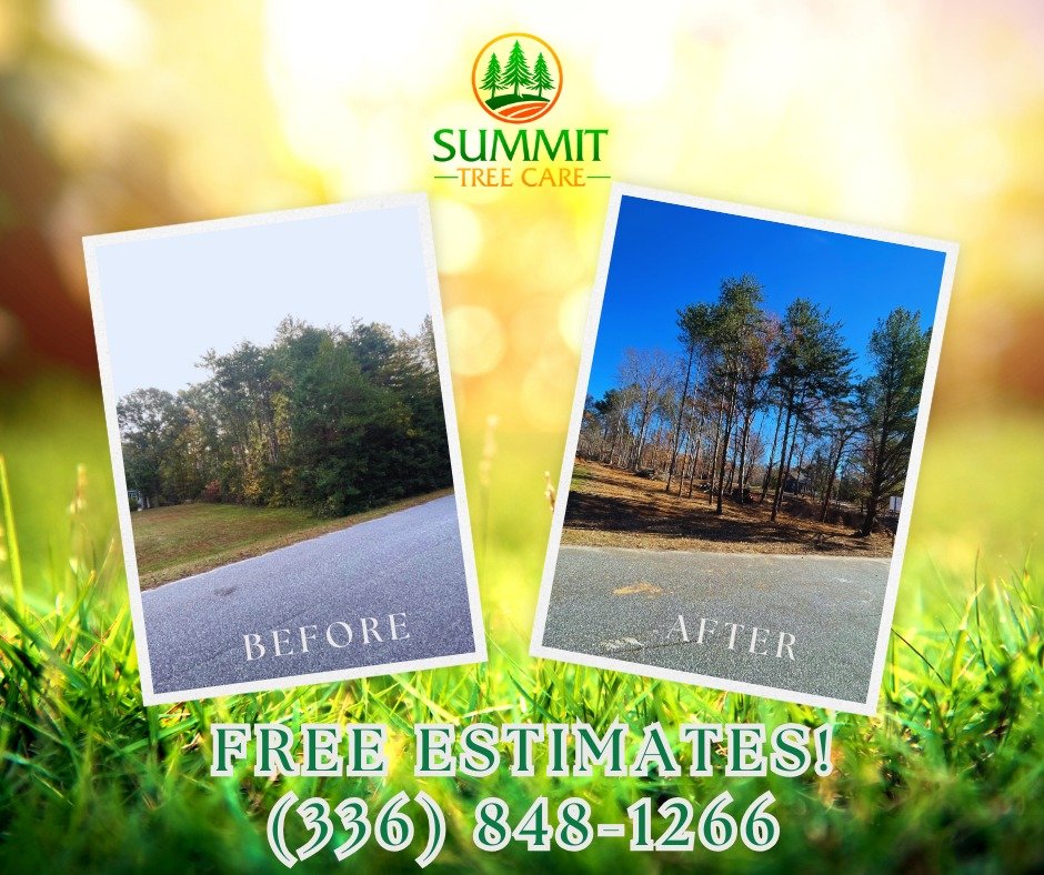 🌞 What a difference a day makes!
Our team at Summit Tree Care opened up this beautiful yard by removing thick, overgrown brush and giving the property a clean, open look. Now there’s more light, more space, and more potential.
Whether you nee