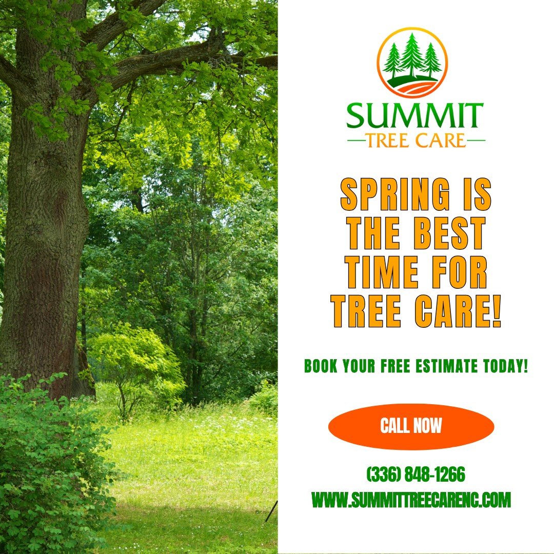 🌳 Got a tree that’s leaning, cracked, or just way too close to the house?
Spring is the best time for tree removal—and we’re booking up fast in Greensboro, Oak Ridge, and Summerfield!
✅ Free Estimates
✅ Fast Turnaround
✅ Safe &am