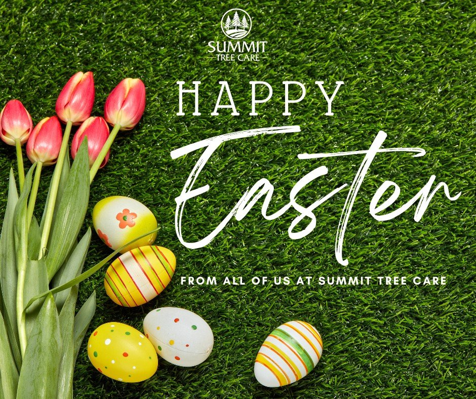 Happy Easter from Summit Tree Care!
Wishing you a joyful day filled with fresh air, sunshine, and time with the ones you love.
Thank you for trusting us to care for your trees and your property—this season and every season! 🌳💚
#HappyEaster