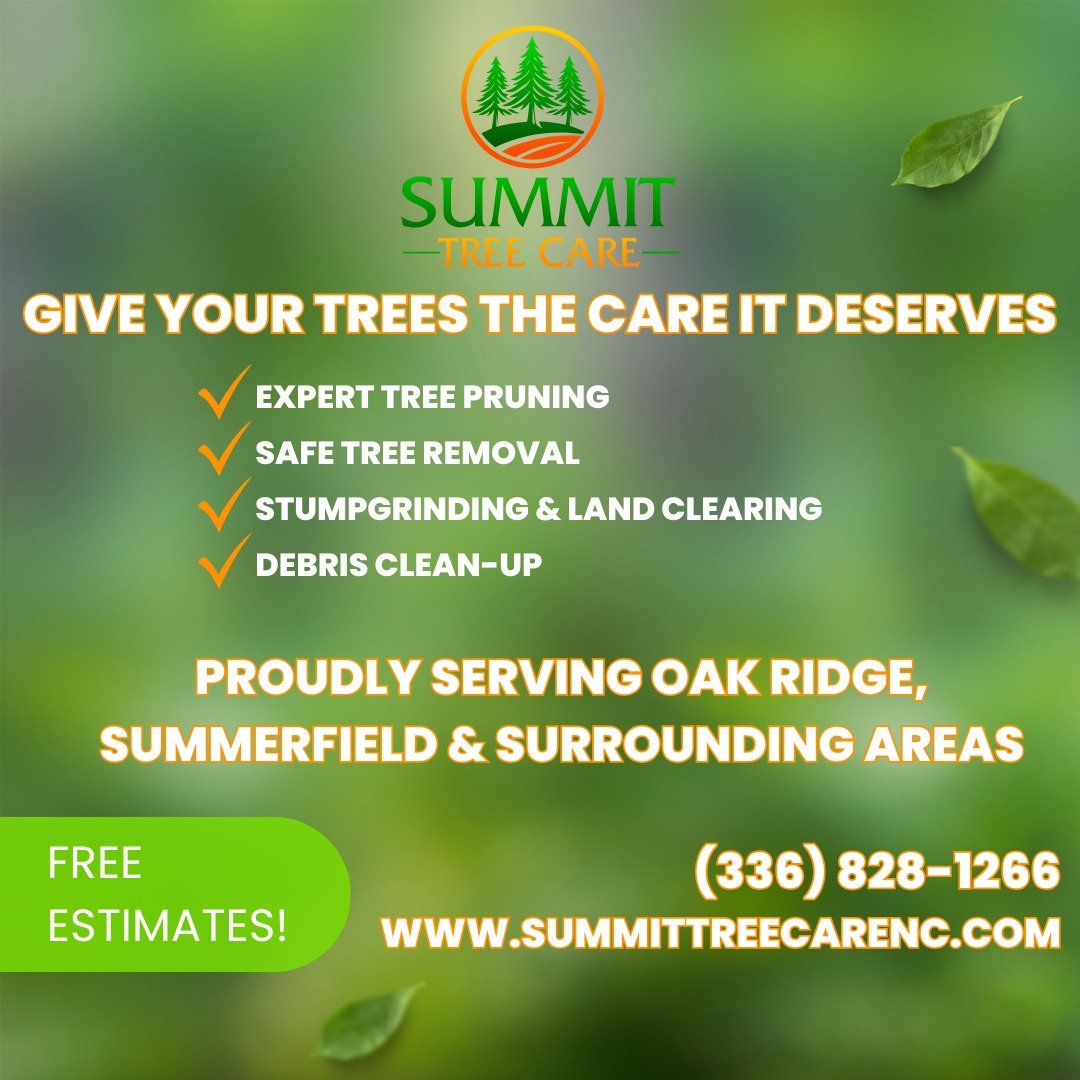 Give Your Trees the Care They Deserve! ✨🌳
Healthy trees don’t just happen — they need expert attention to stay strong, beautiful, and safe. Whether it’s careful pruning, tree removal, stump grinding, or land clearing, Summit Tree C
