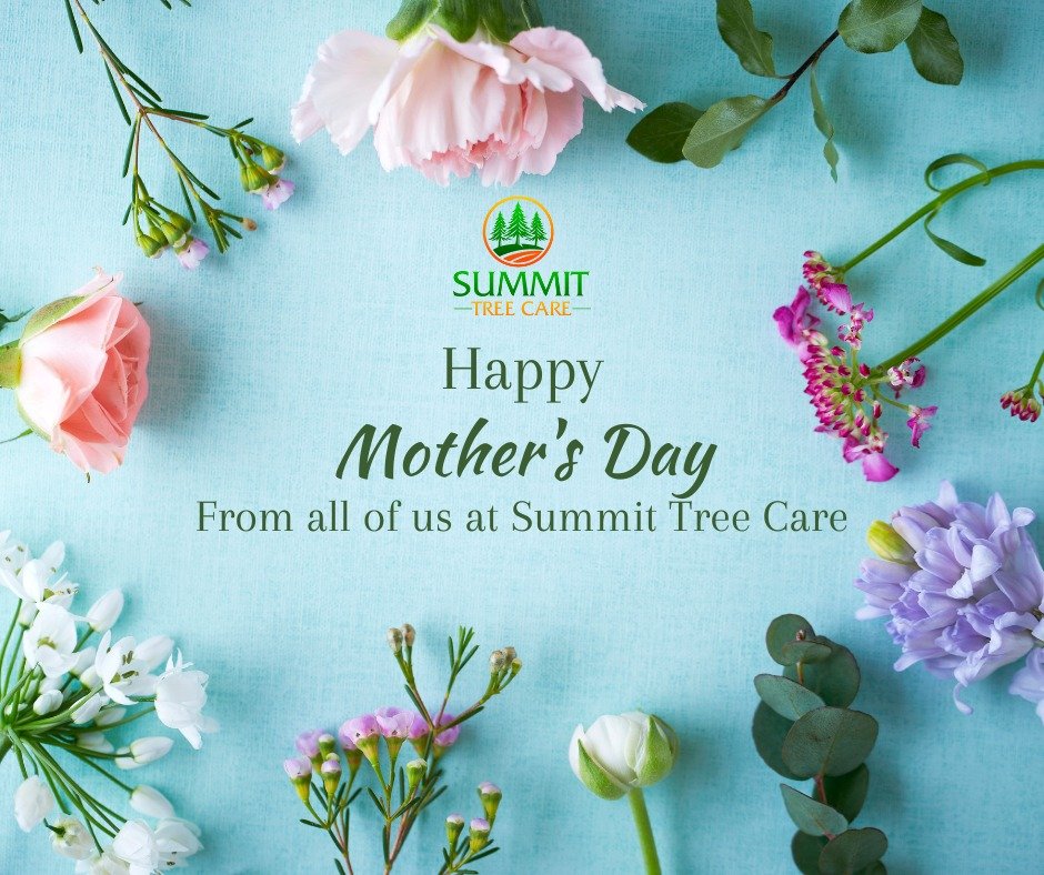 To all the amazing moms who grow, nurture, and give so much—Happy Mother’s Day! ππ·
From planting roots to watching strong branches grow, your love is the foundation of it all. Today, we celebrate YOU.
Wishing every mom a peaceful, joy