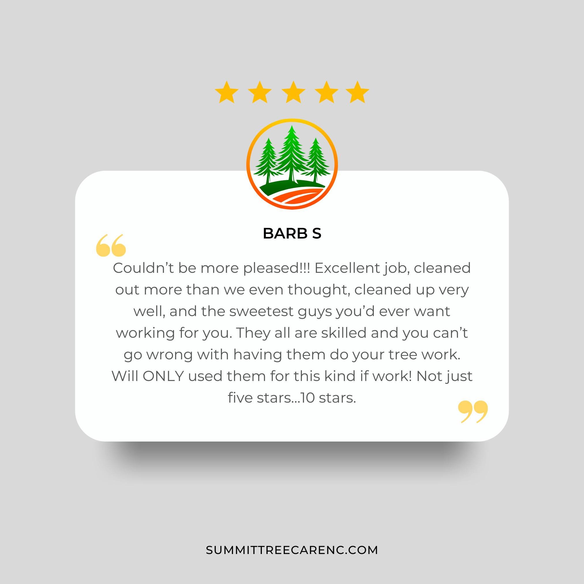 π Not just 5 stars…10 stars! π
Huge thanks to Barb S for this incredible review! We’re so grateful for clients who trust us to go above and beyond. From deep clean-outs to precise tree work and thorough cleanup, our crew puts heart in
