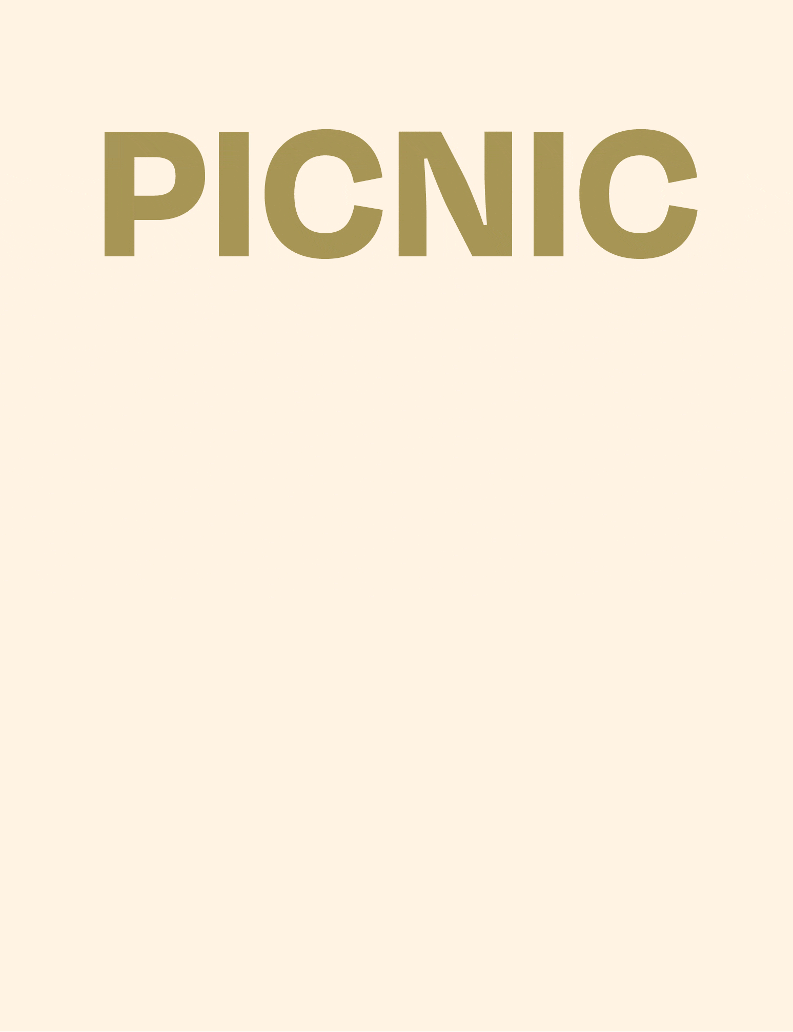 picnic-ezgif.com-optimize.gif