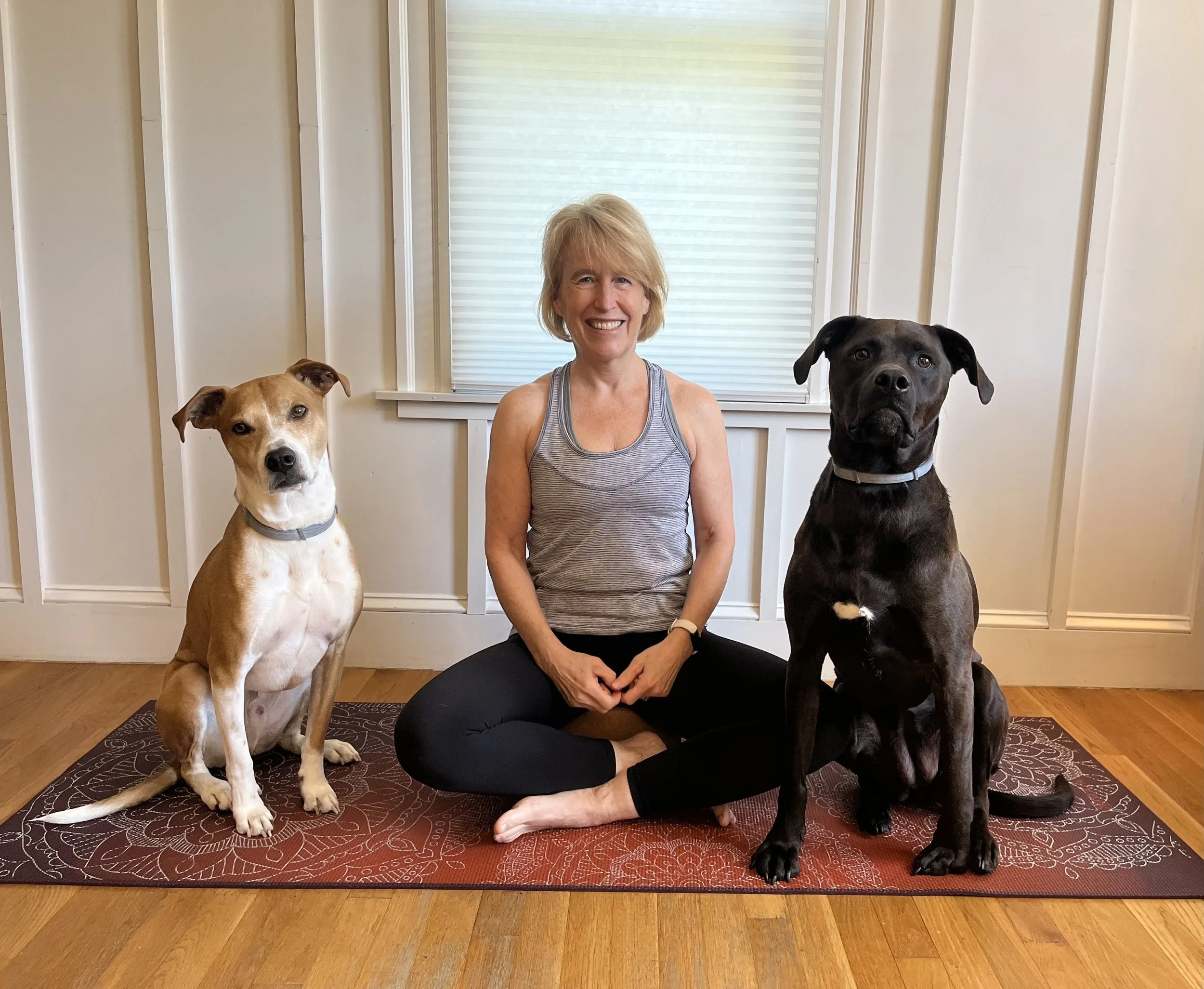 Strong Through the Shift: A Menopause Workshop w/ Doreen Mitchell