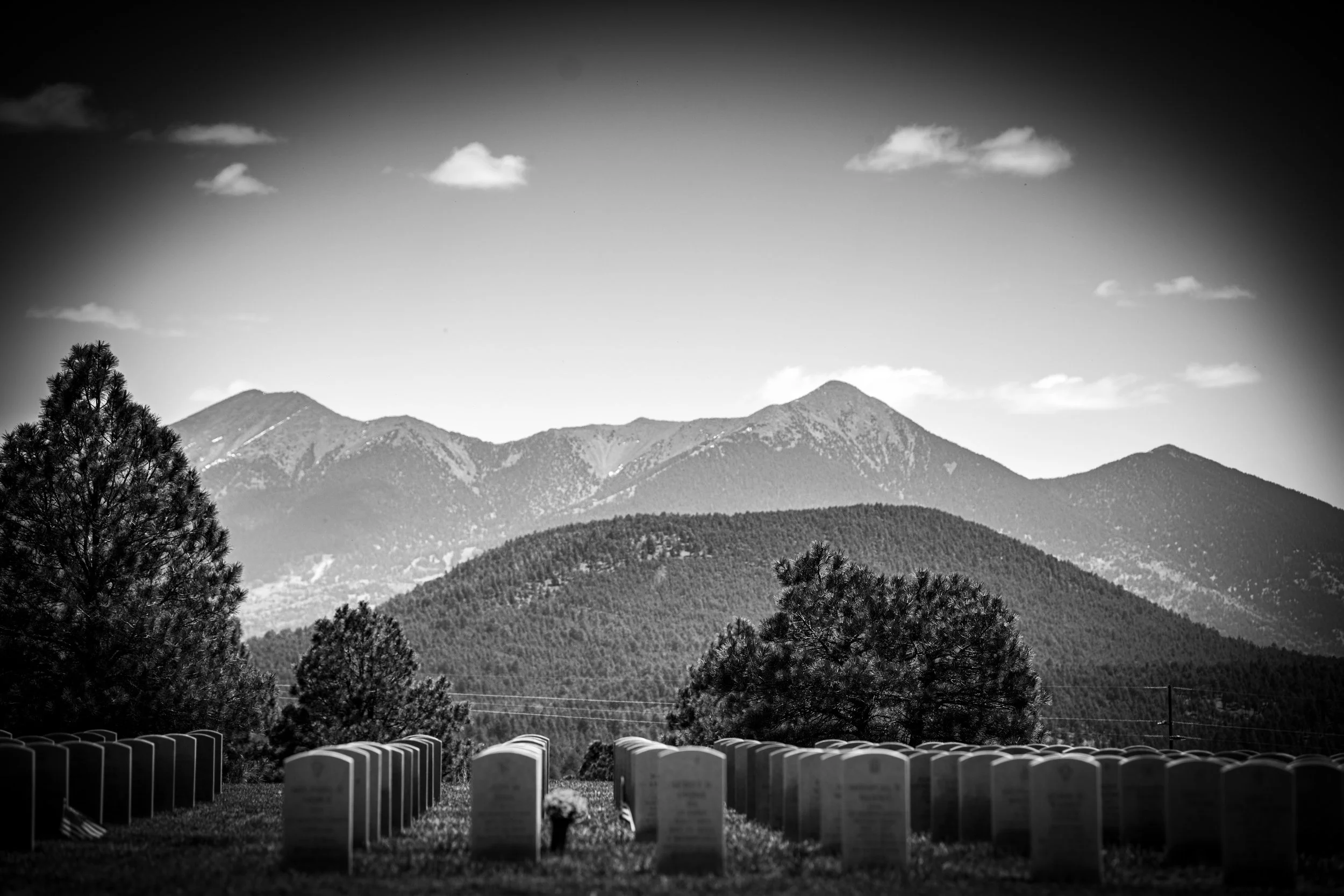 portfolio-64.jpg