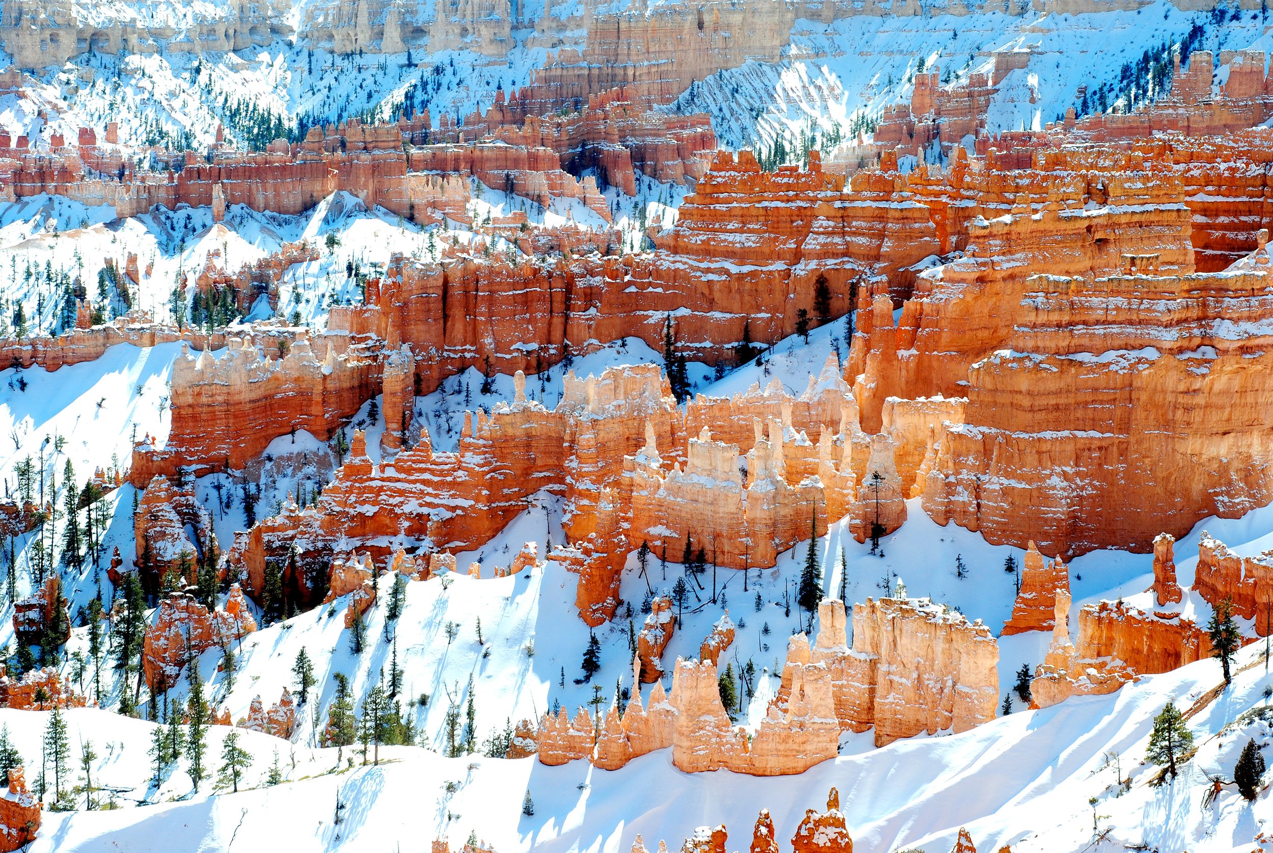 bryce canyon.jpg