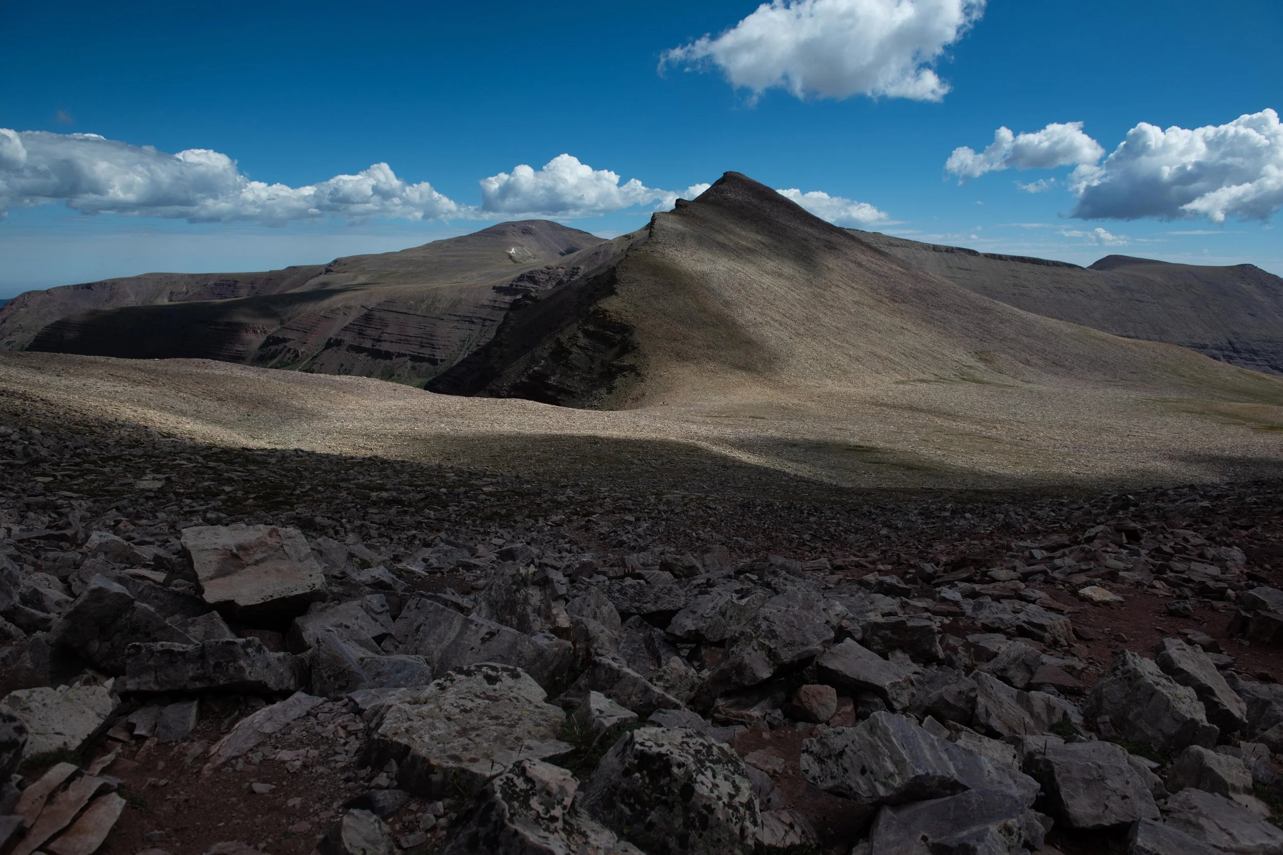 DSC_8522.jpg