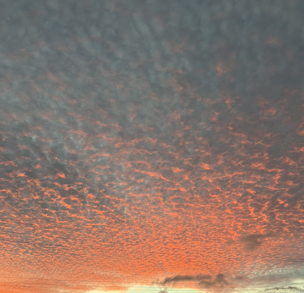 A New Year, A New Semester