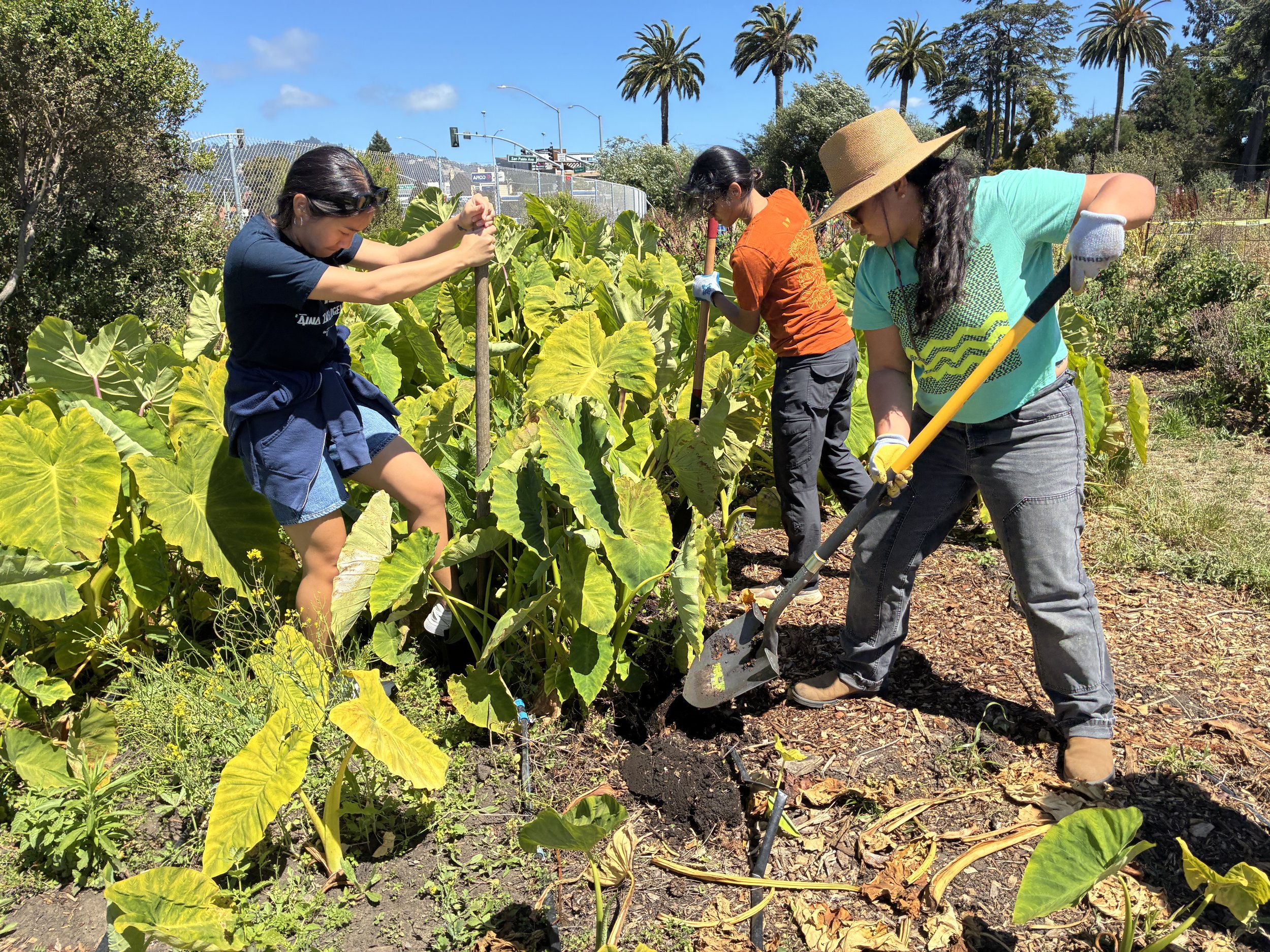 Some Manaʻo to my Younger Self: Remarks for College Horizons 2026