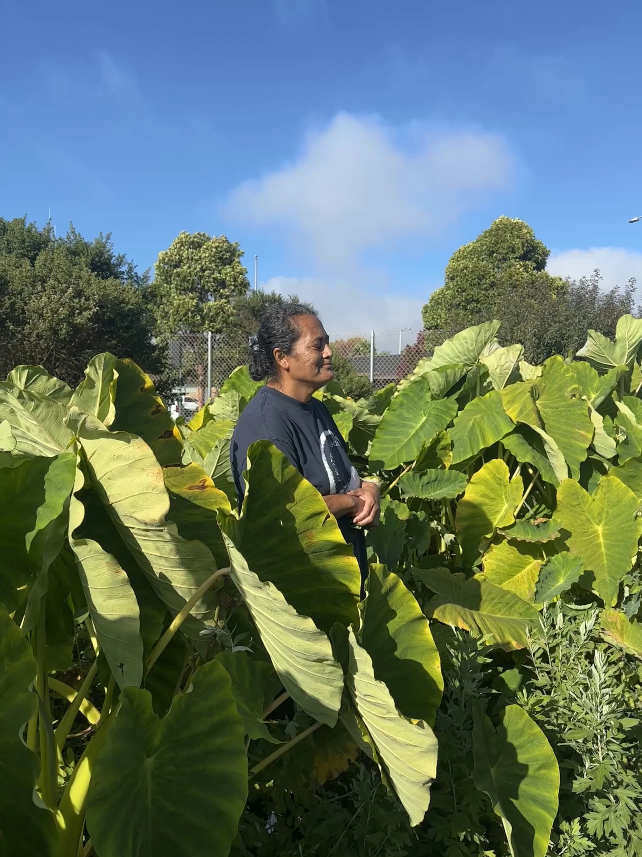 “Kõmij Mour Ijin/Our Life is Here” x Planting Oceania