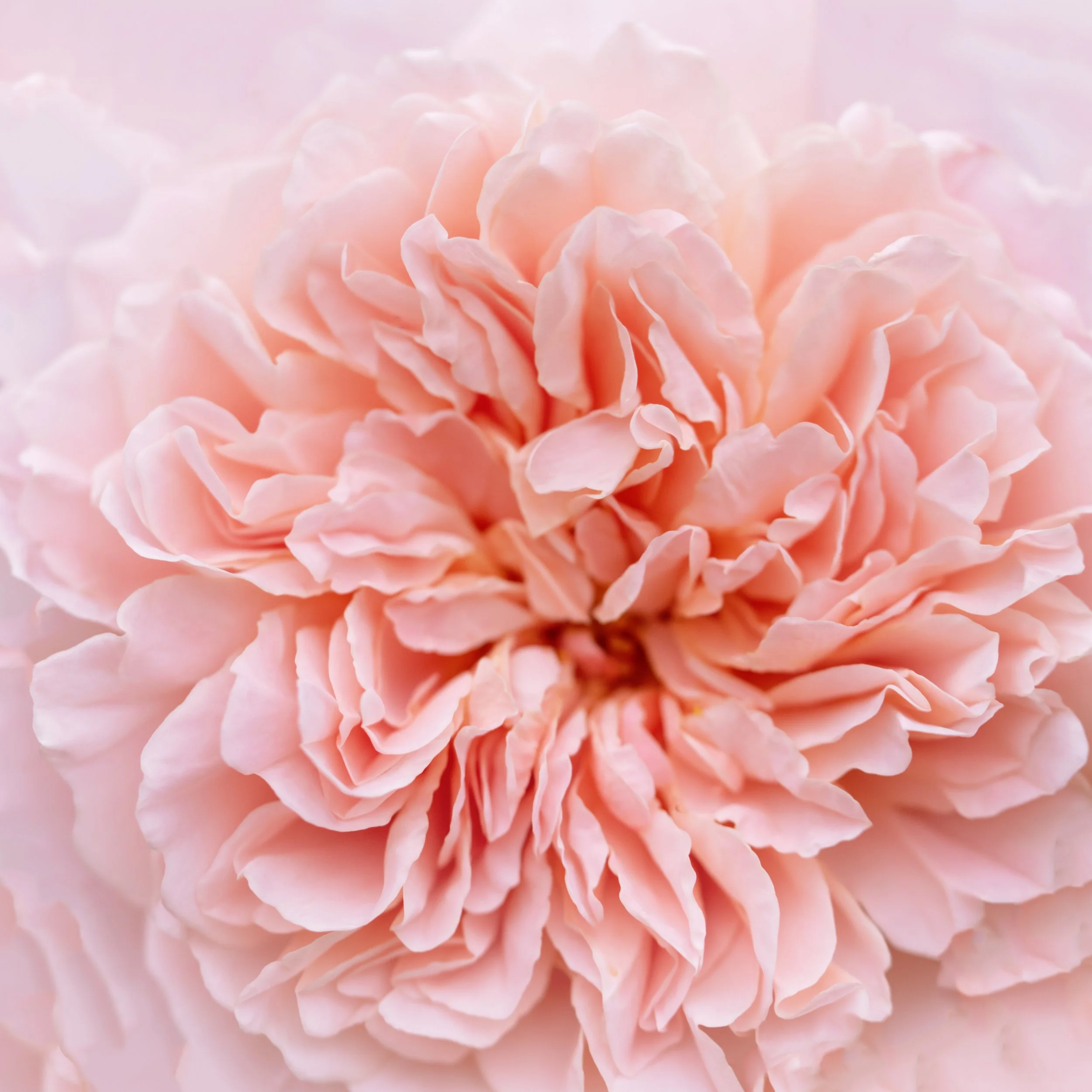 Shelley with TCI is Serving Clients Throughout Arizona, Nevada and California