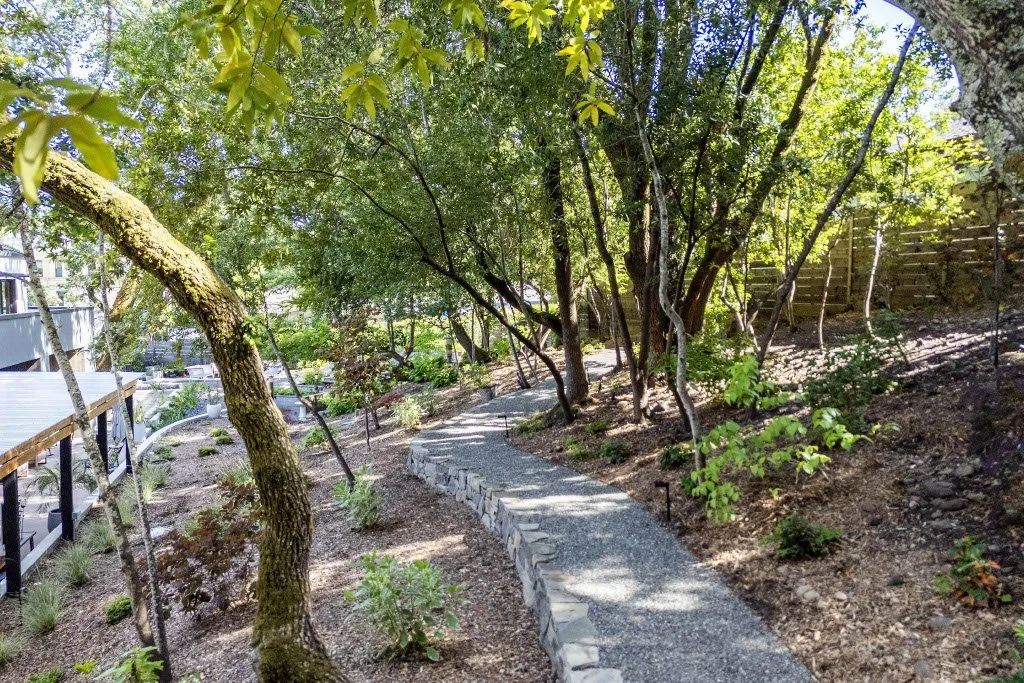 Multi-level landscape design connecting front and back yards in Healdsburg, CA