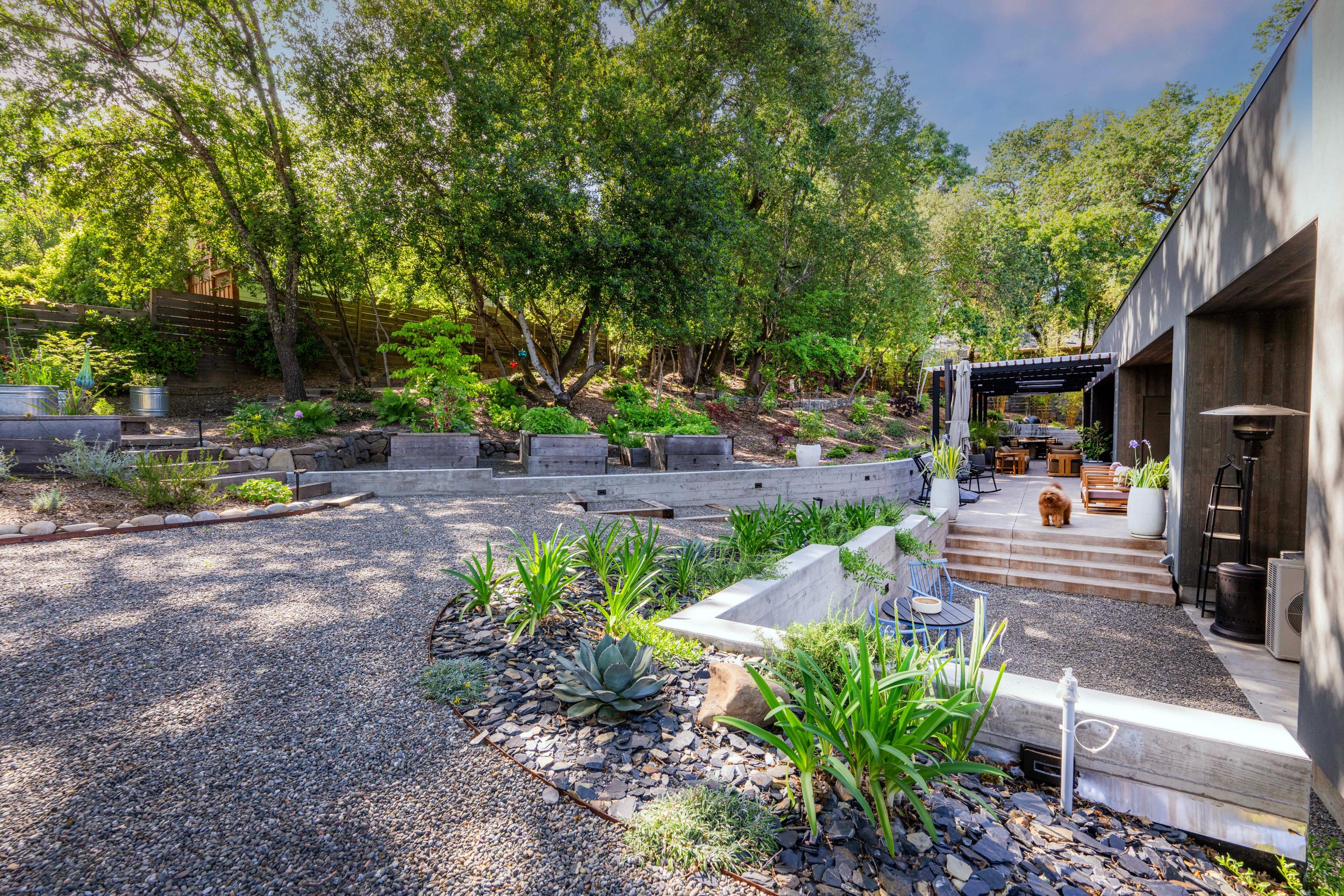 landscaping Sonoma, CA.jpeg