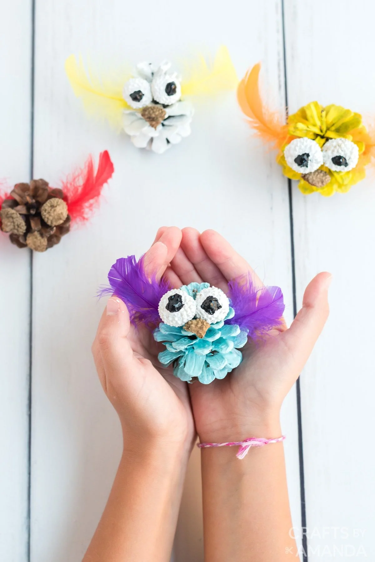 Free Wednesday Activity- Owl Pinecones 