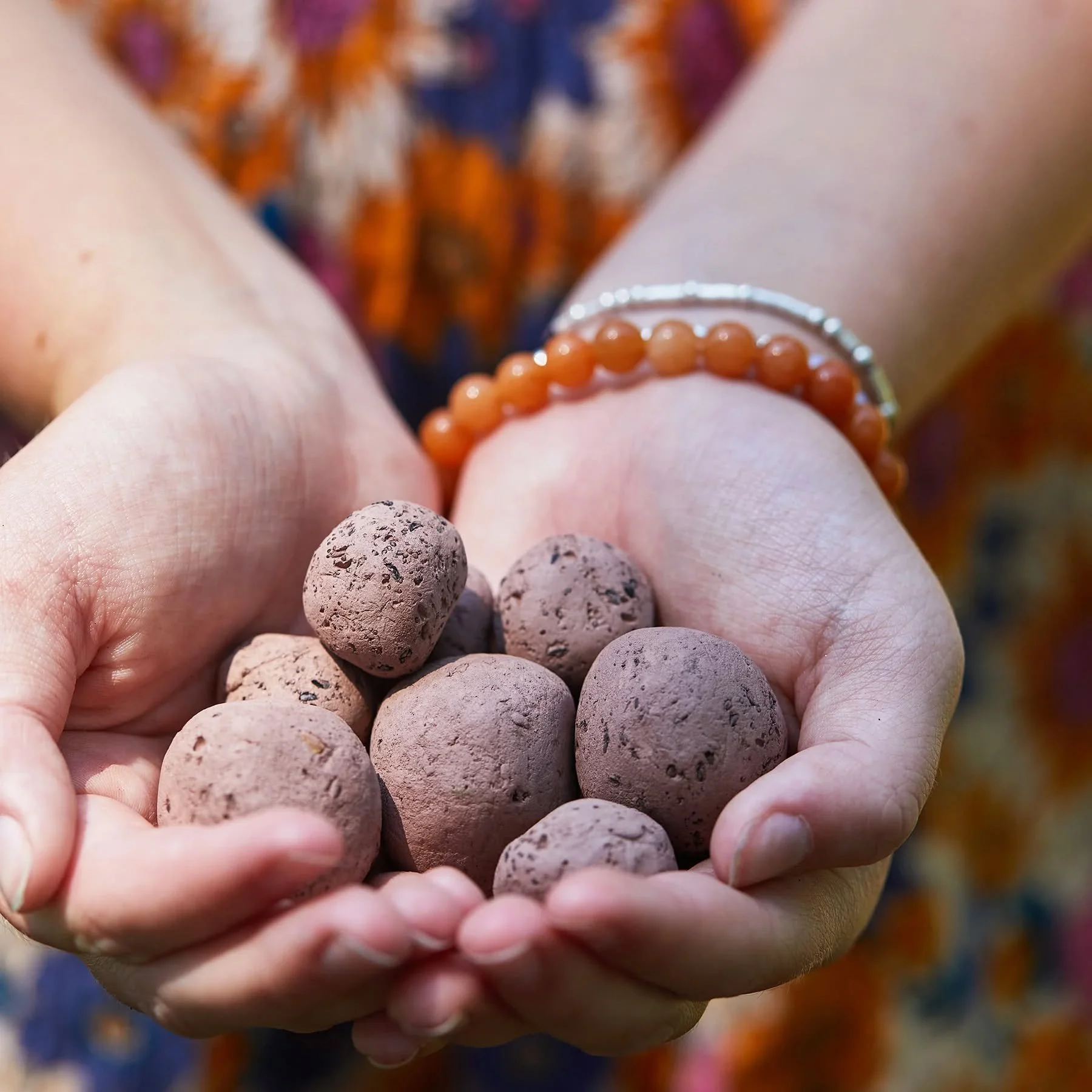 Free Wednesday Activity- Seed Bombs 