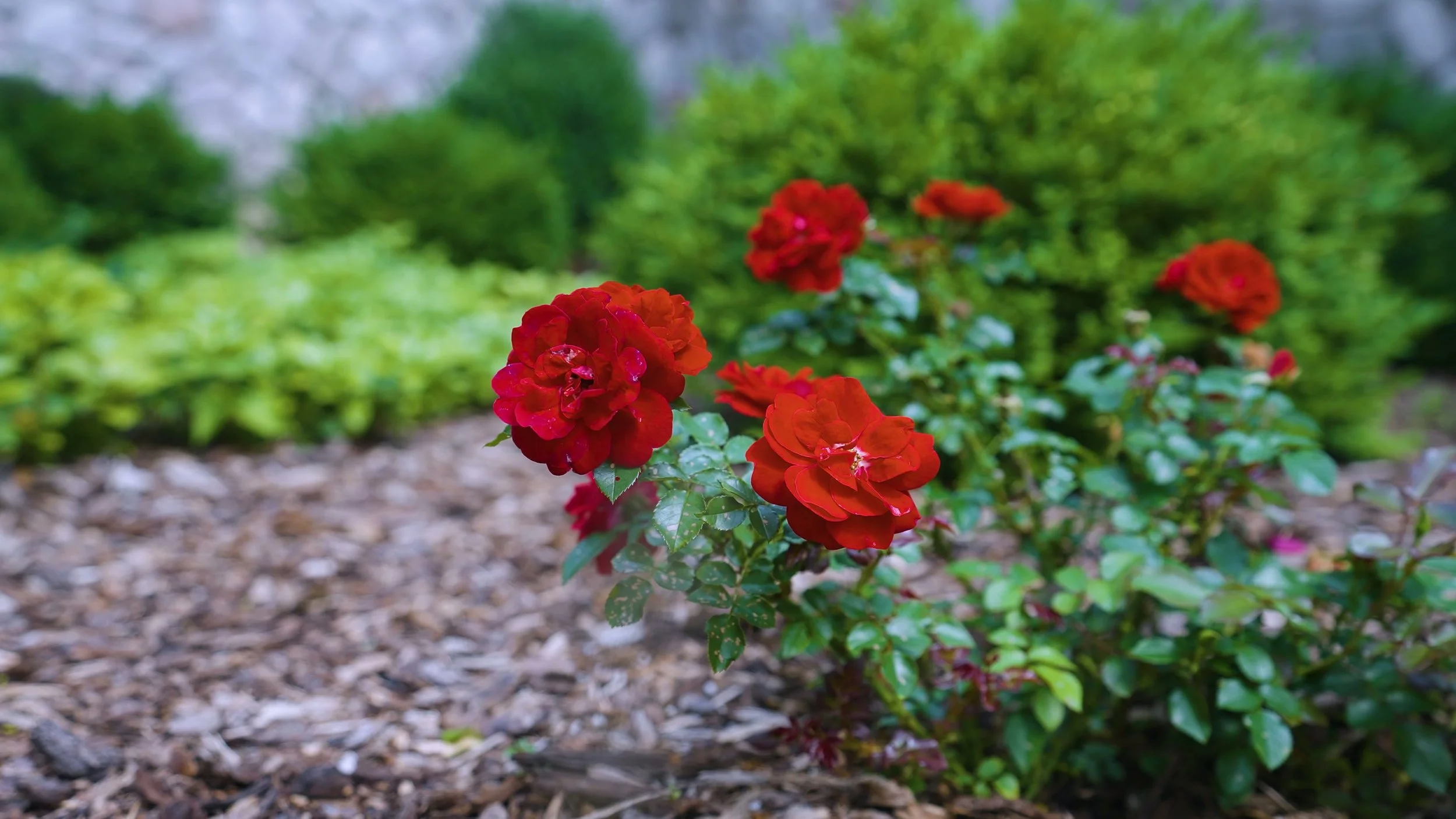 Sourcing Landscape Supply in Appleton, WI, for a DIY Weekend Project