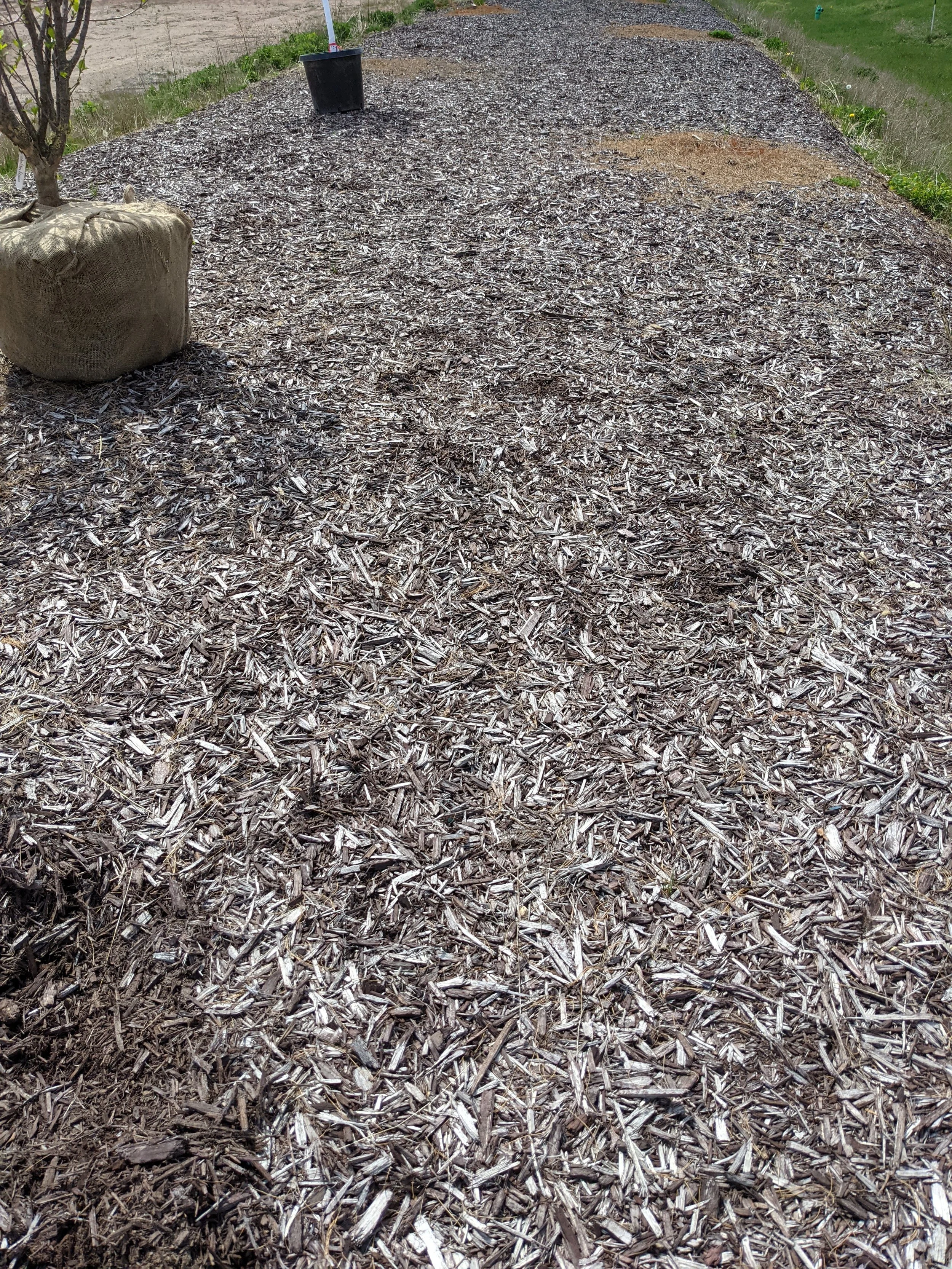 mulch in Appleton, WI