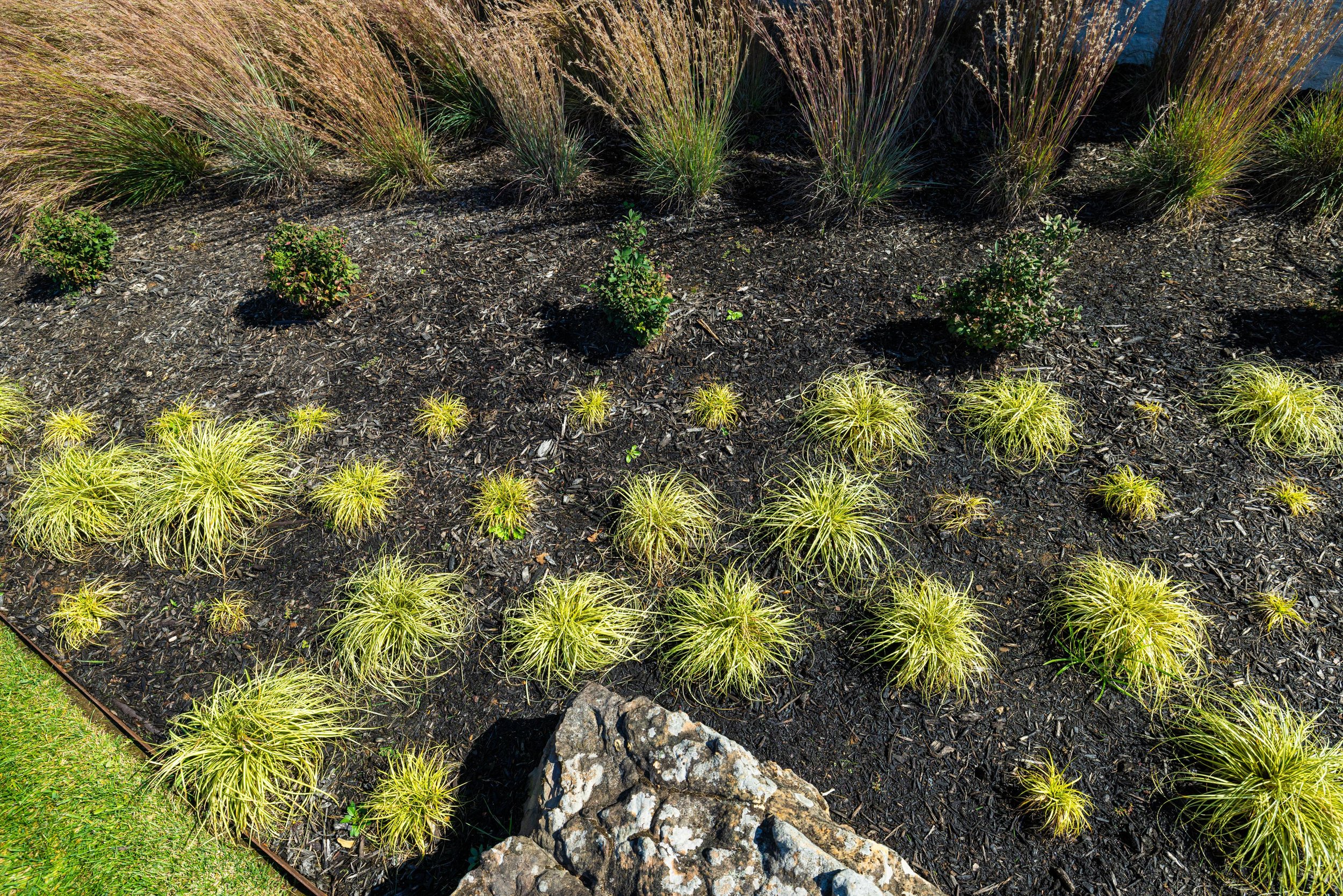 Mulching and plantings in Centerton, AR