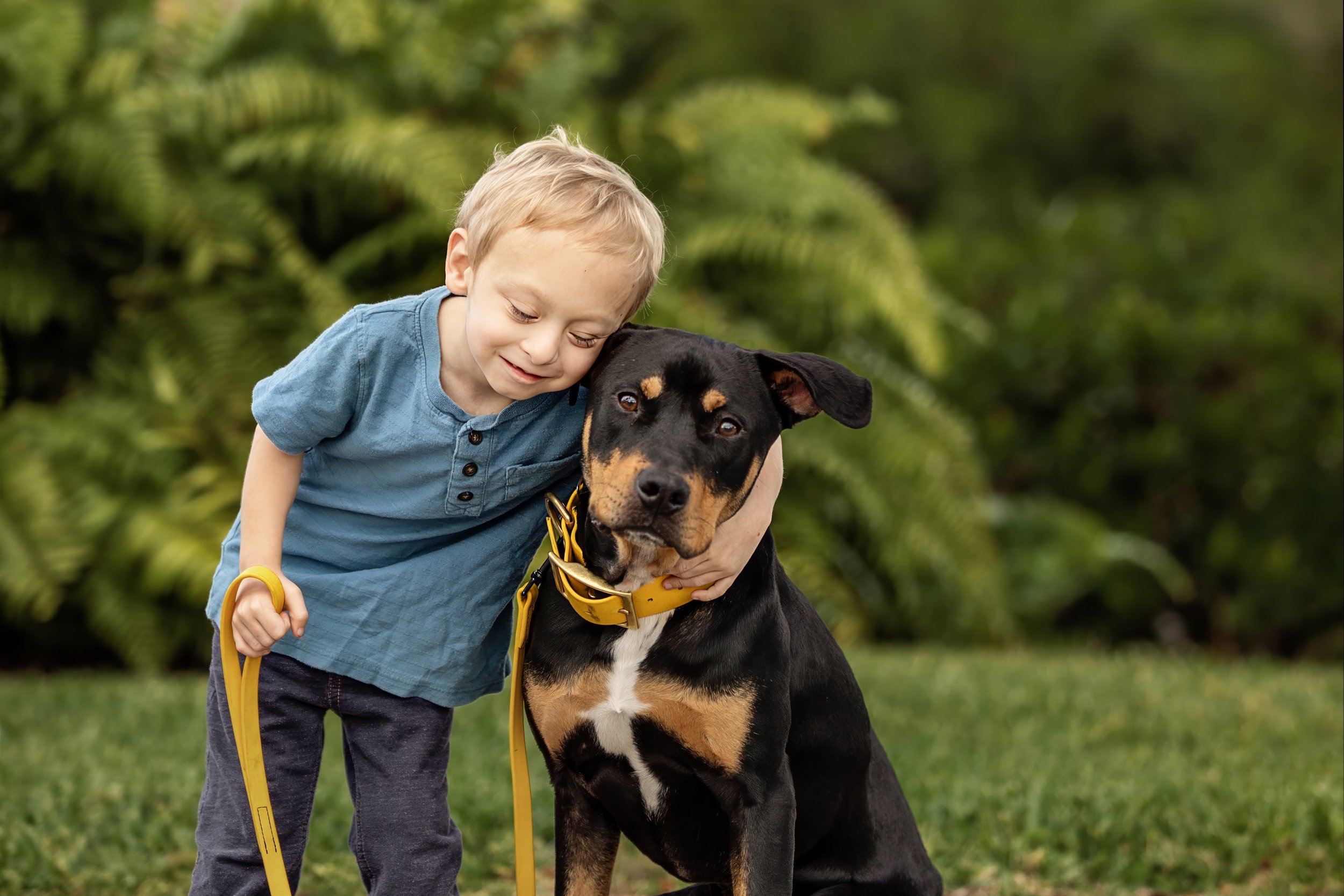 Fill Your Life with Joy, Dog Makes Jupiter Families Smile