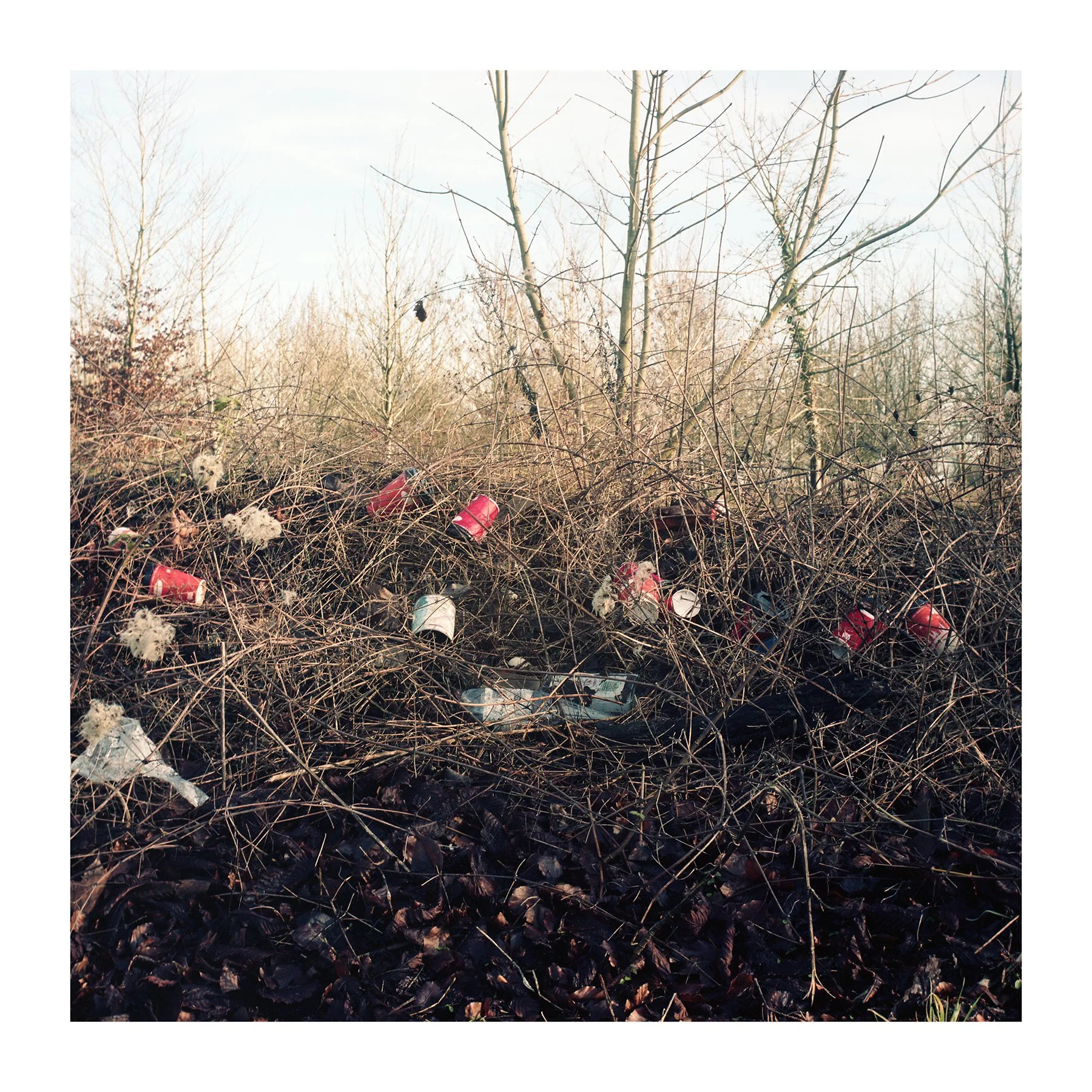 coffeecups56 copy.jpg