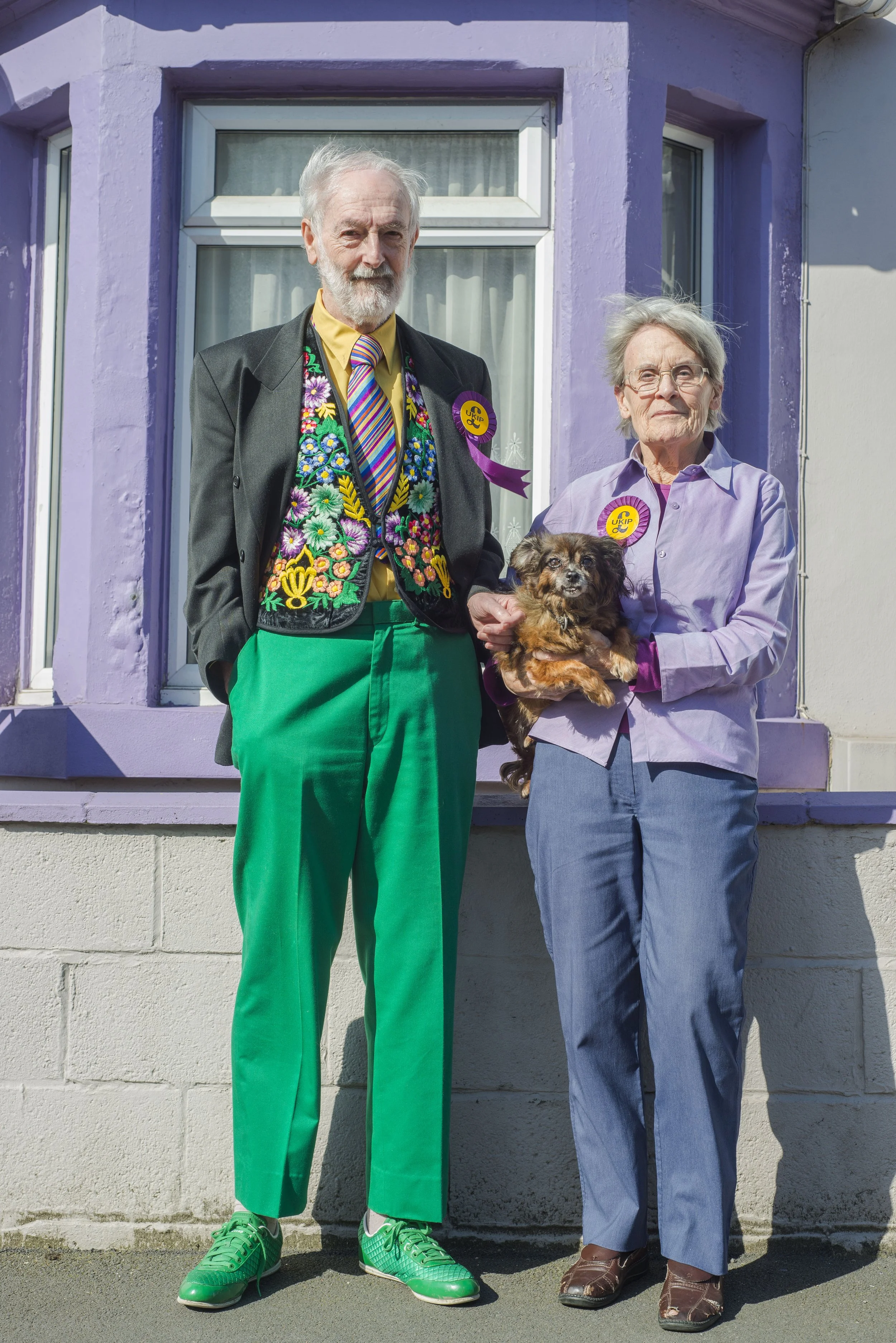 ukip copy.jpg