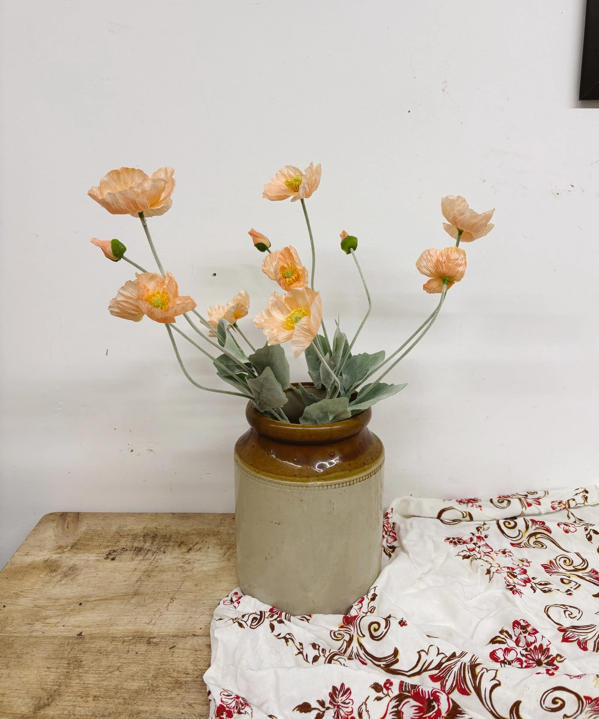 Pale Pink Peach Icelandic Poppy Stem