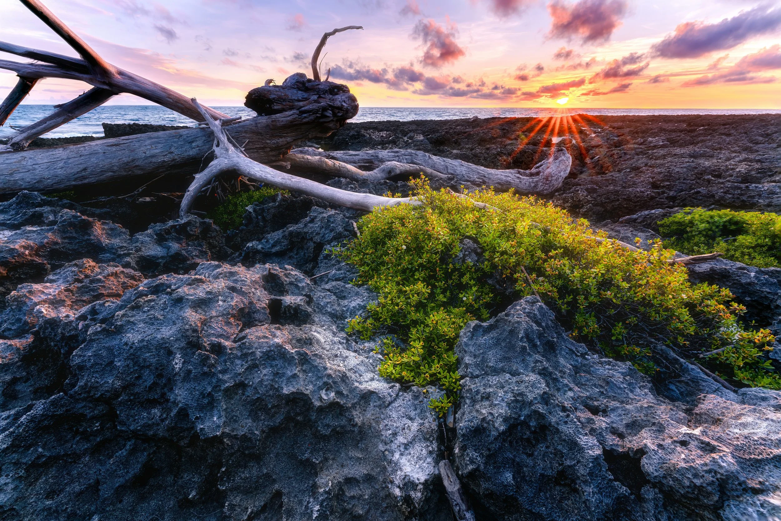 Clinical psychologist based in Cambridge and Wellesley, treating depression, anxiety, and OCD.