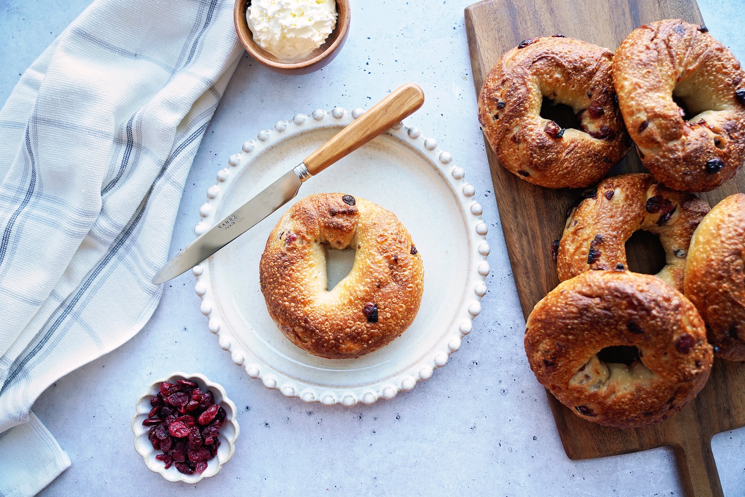 cranberry_bagel_overhead_2024.jpg